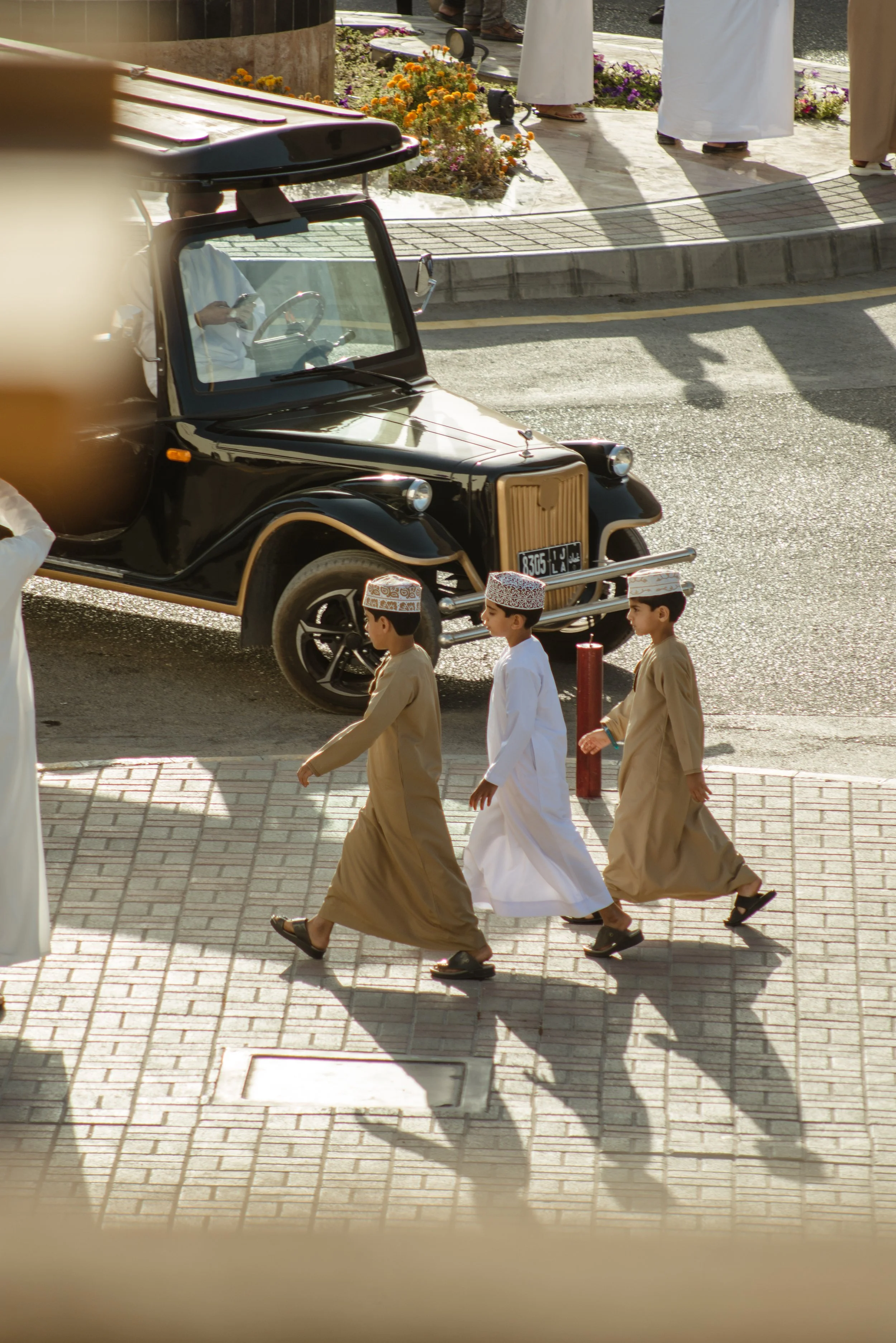 D8E_7231.jpg