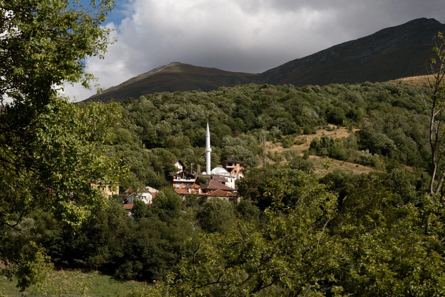 DSCF2493.jpg