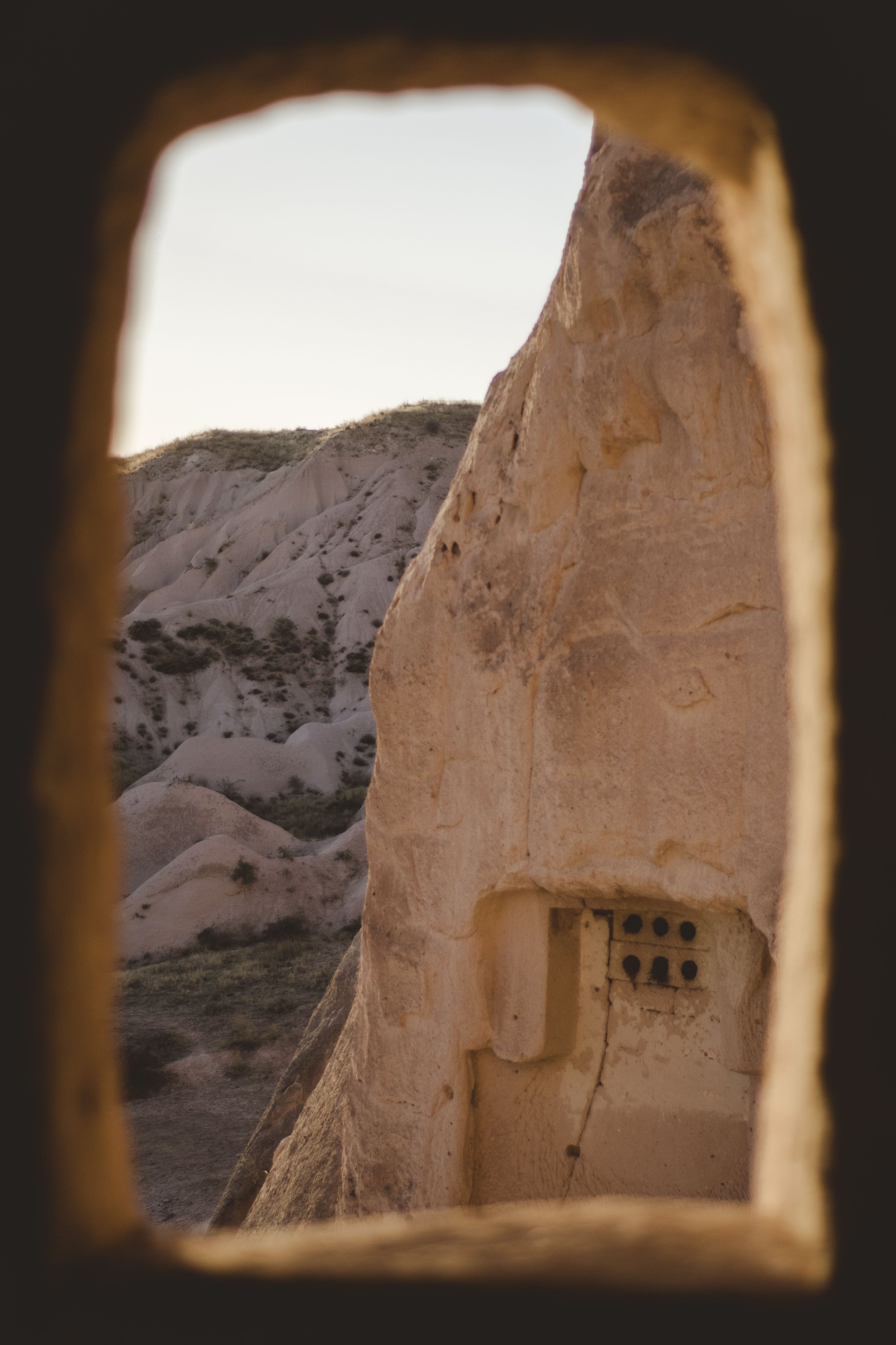 DSC_0397.jpg