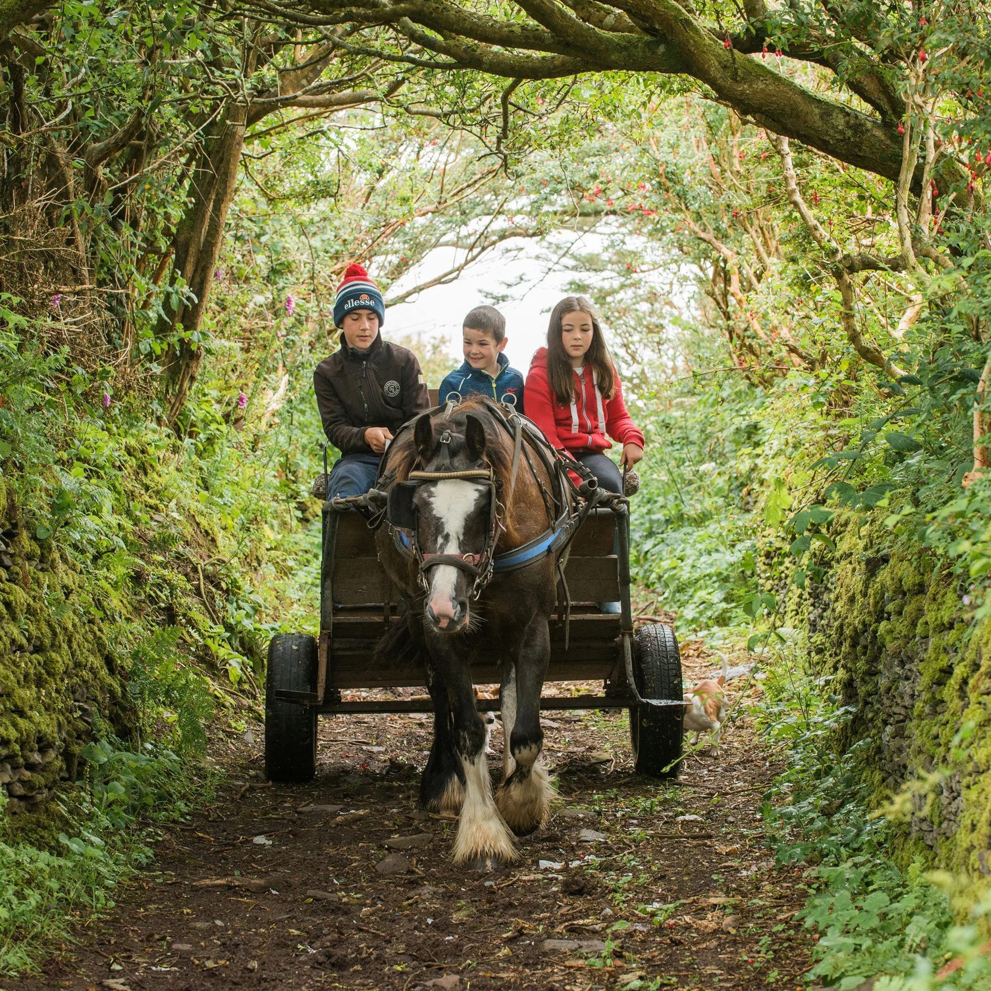 Children riding a horse-drawn cart through a forested tunnel of trees and greenery.