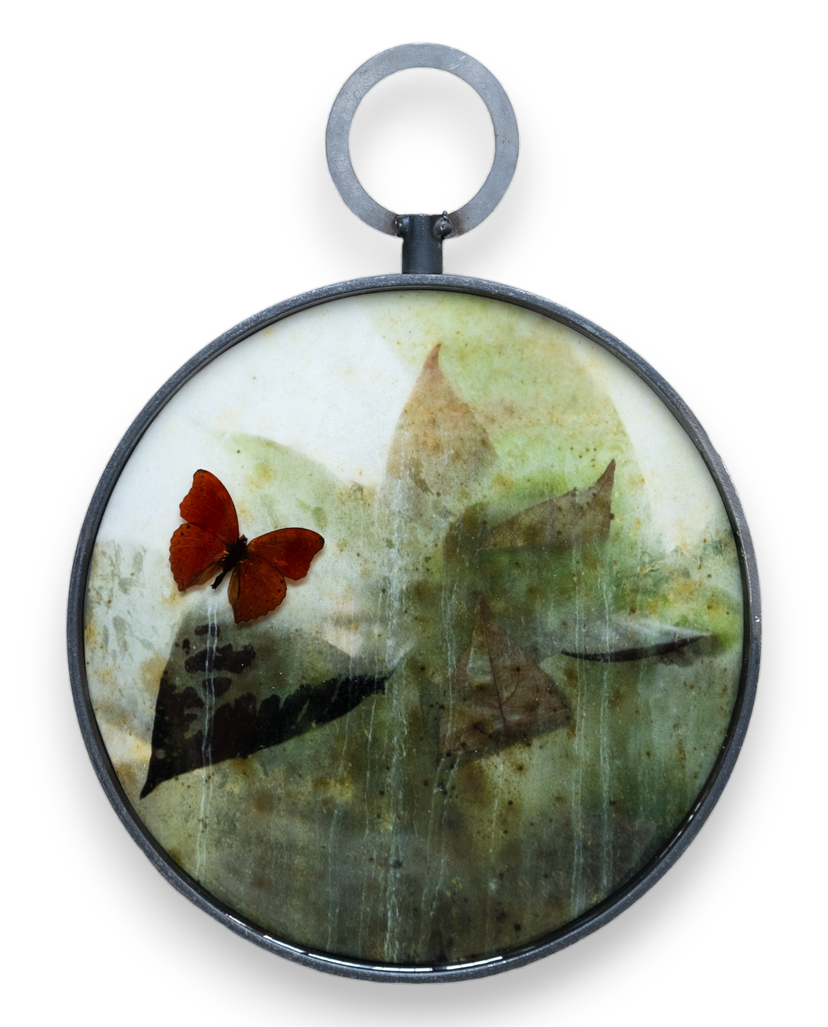Papilio on resin 2023-3-PhotoRoom-PhotoRoom.png