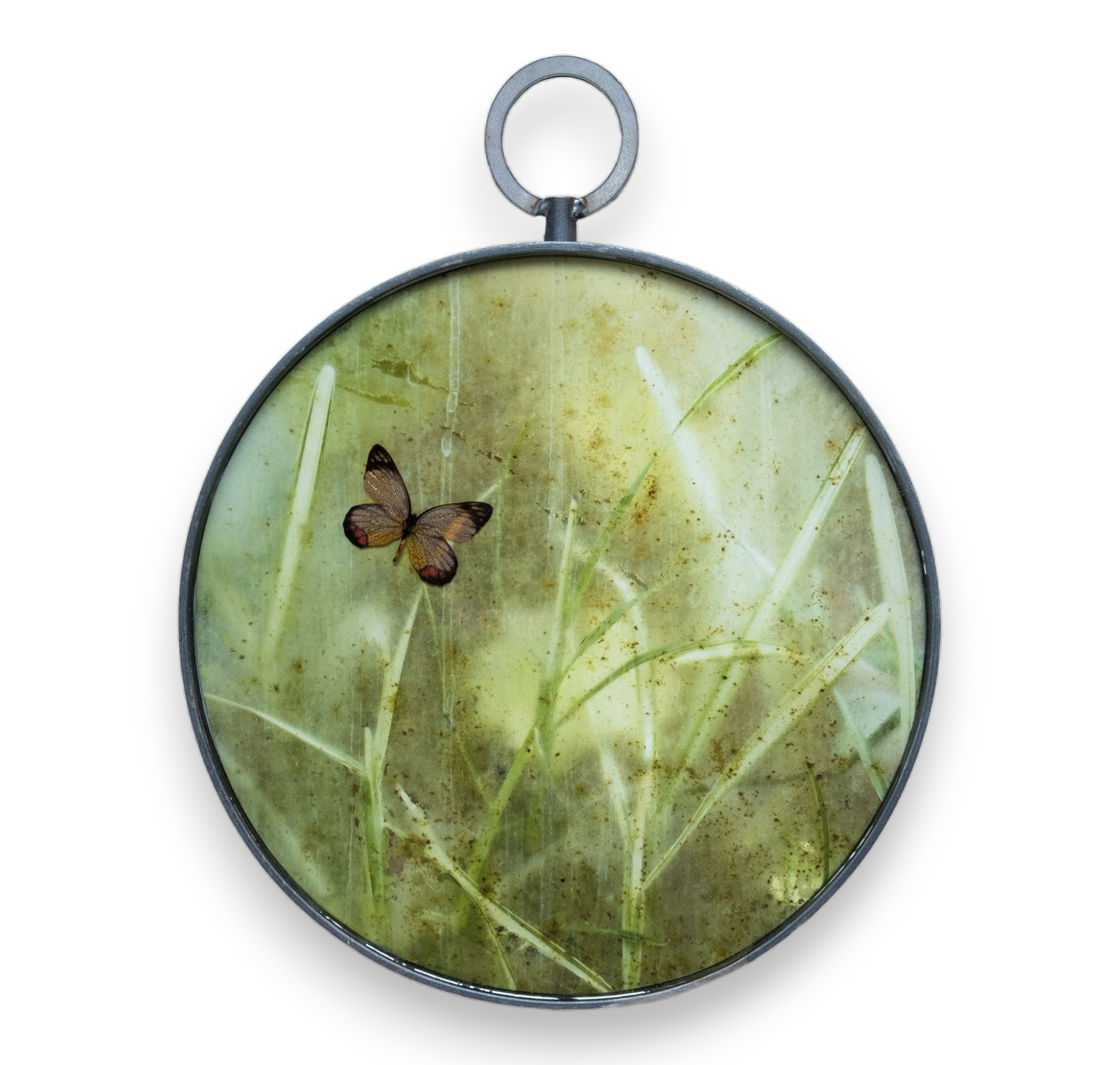 Papilio on resin 2023-4-PhotoRoom-PhotoRoom.png
