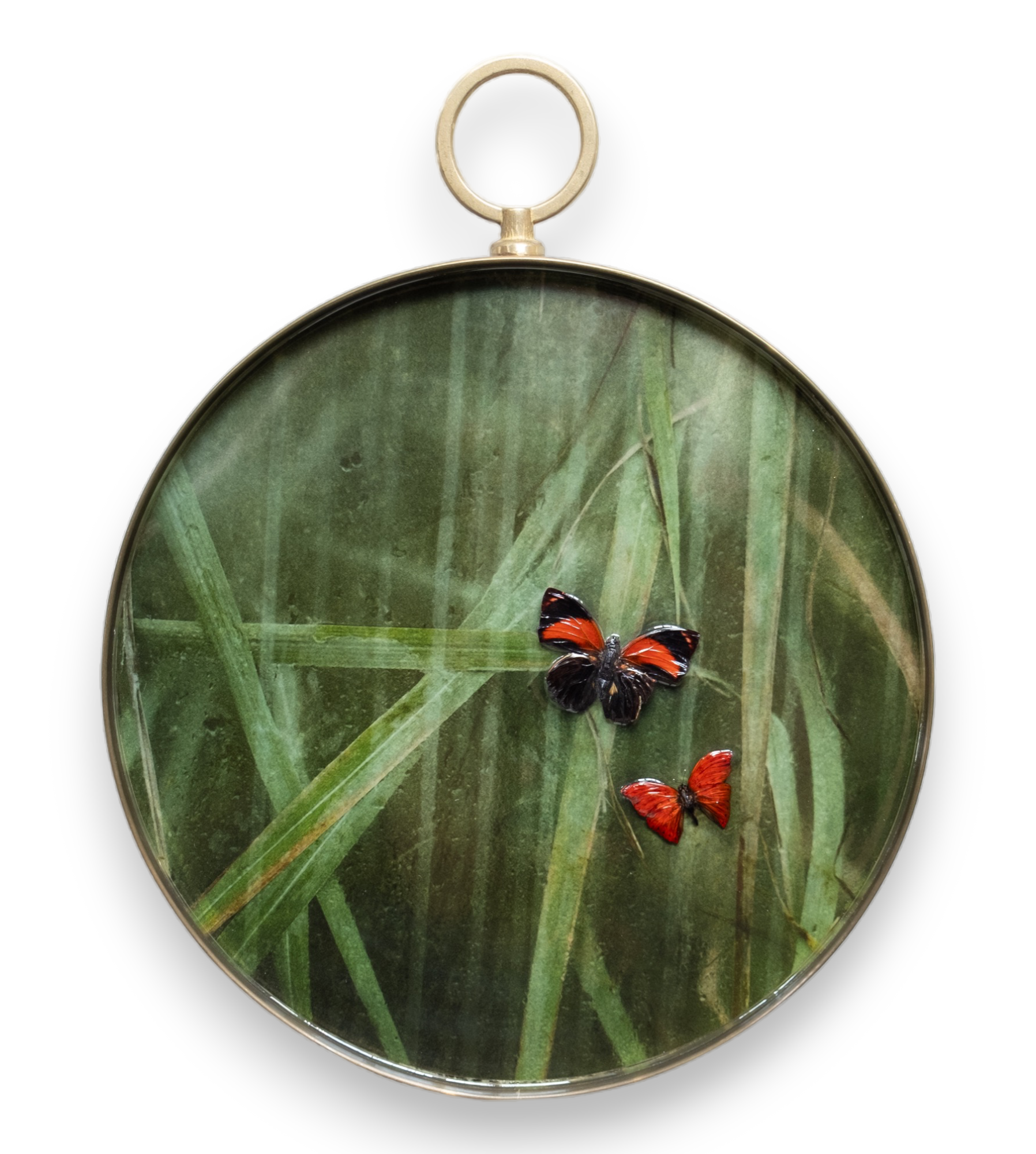 Papilio on resin 2023-15-PhotoRoom-2-PhotoRoom.png