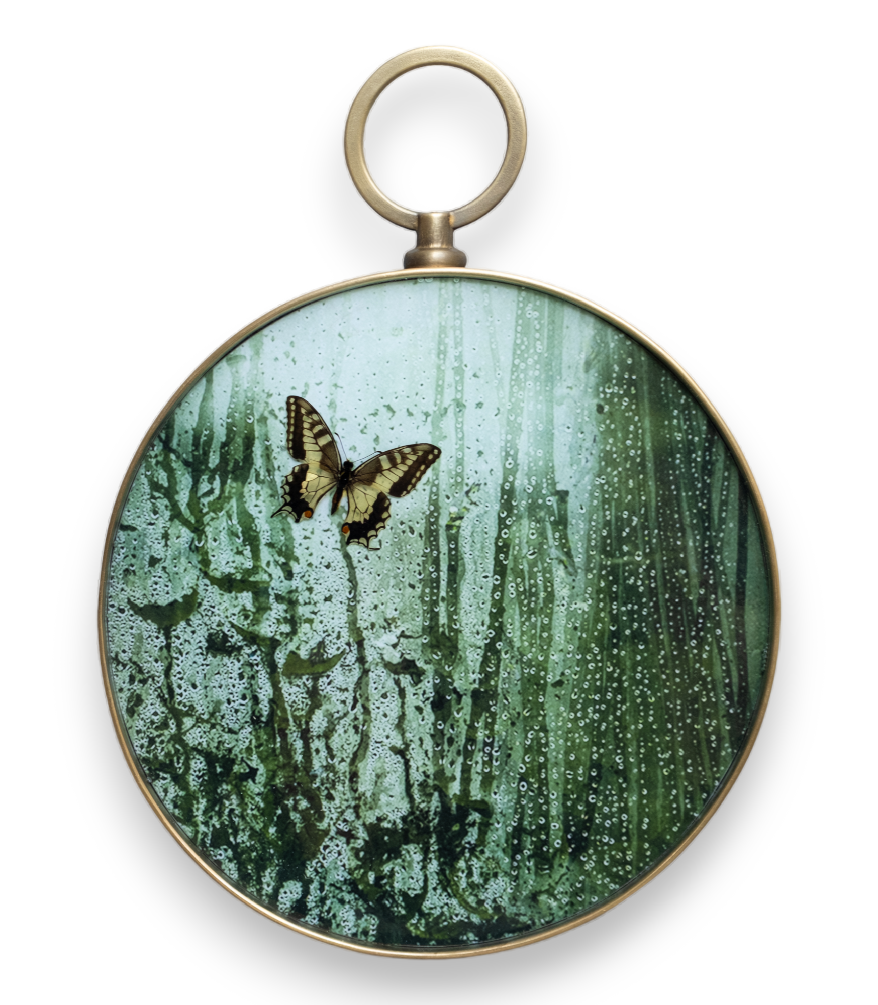 Papilio on resin 2023-2-PhotoRoom-PhotoRoom.png