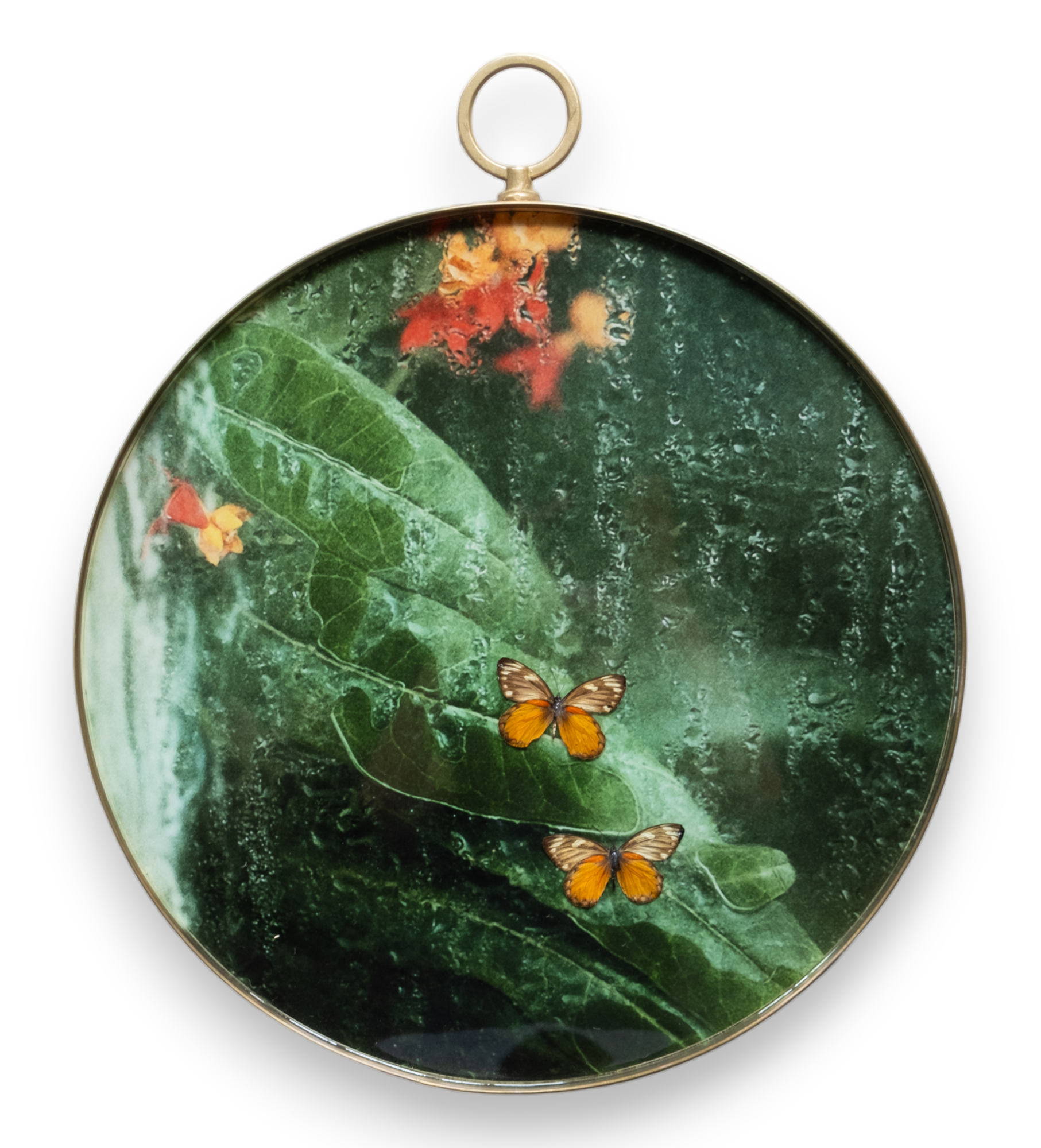 Papilio on resin 2023-17-PhotoRoom-PhotoRoom.png