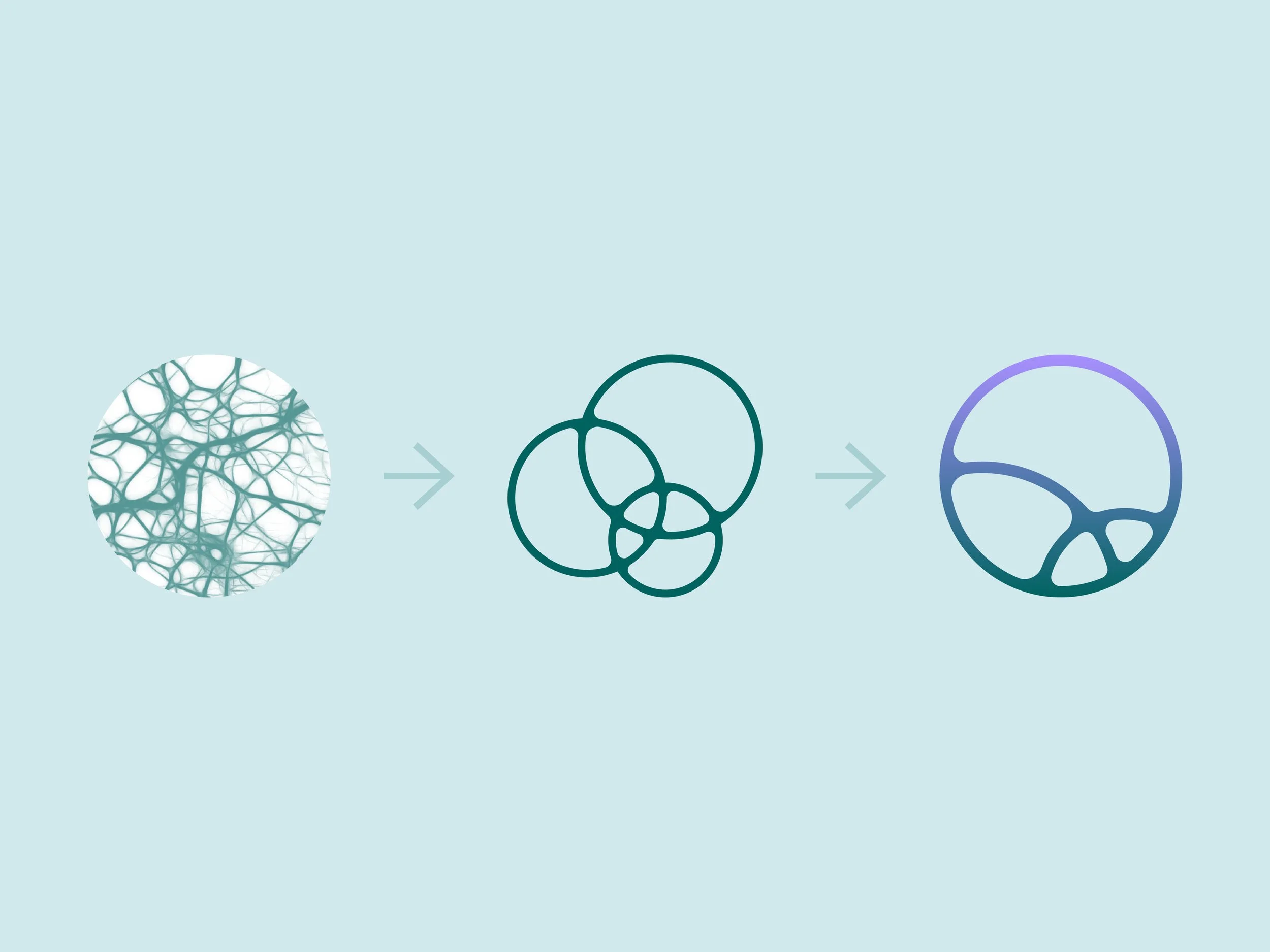 TMG-Mockups-2607205.jpg