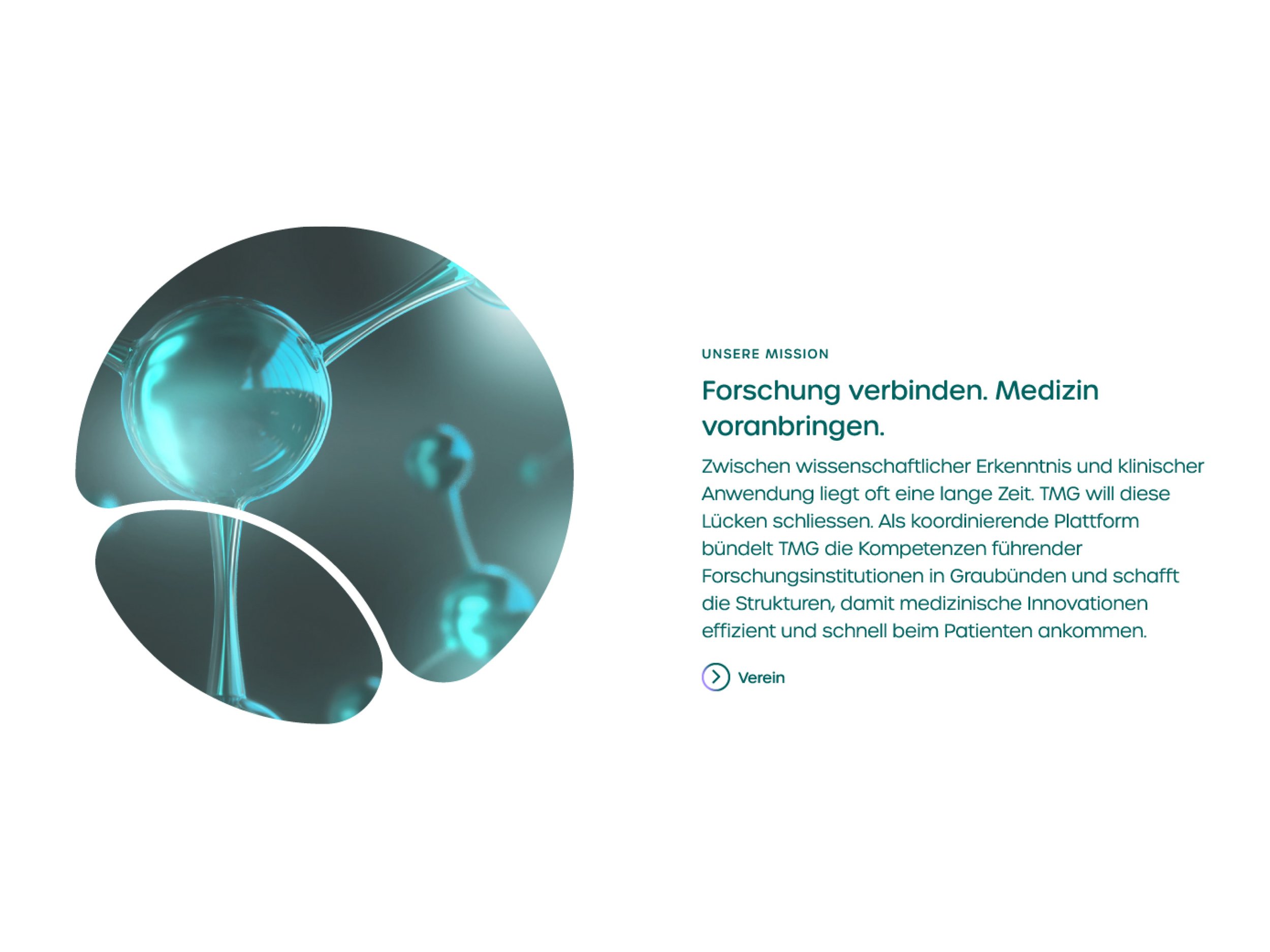 TMG-Mockups-2607208.jpg