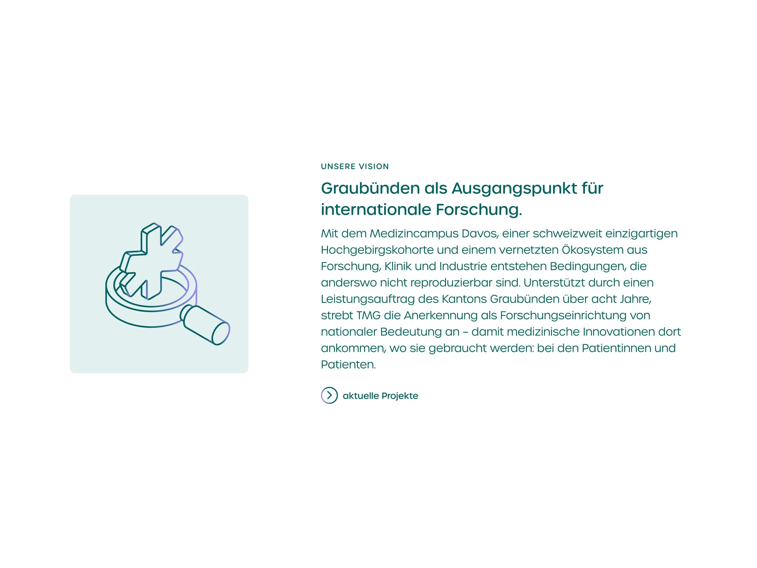 TMG-Mockups-2607207.jpg