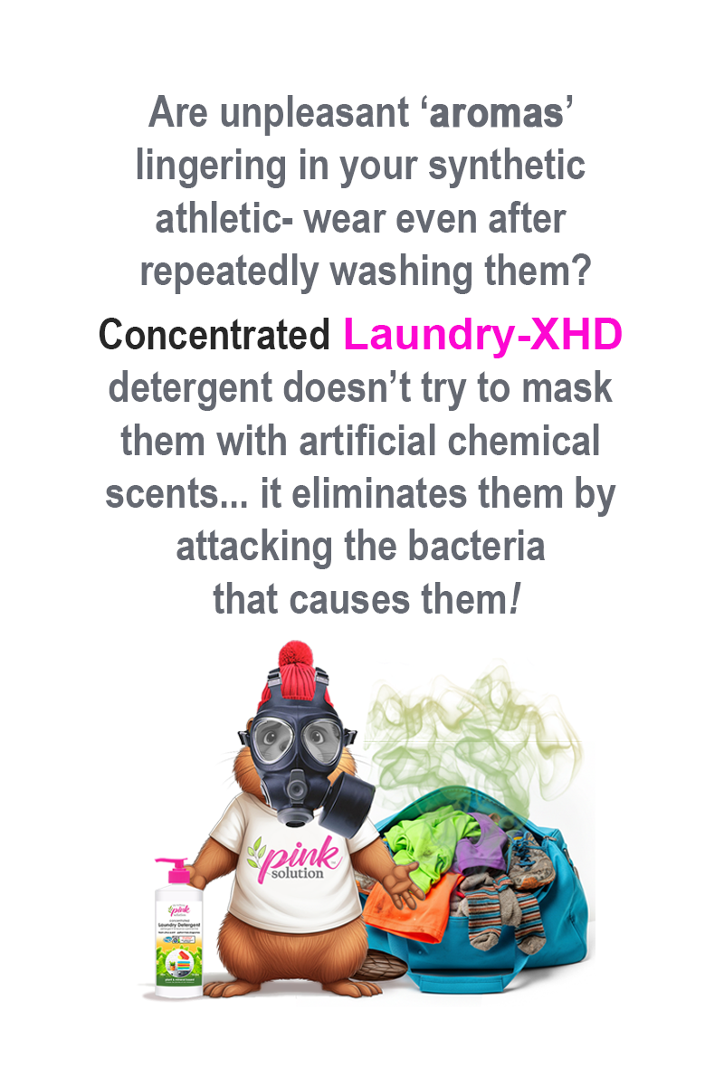WEBSITE_CAROUSEL_HAND-HELD_LAUNDRY-XHD.png