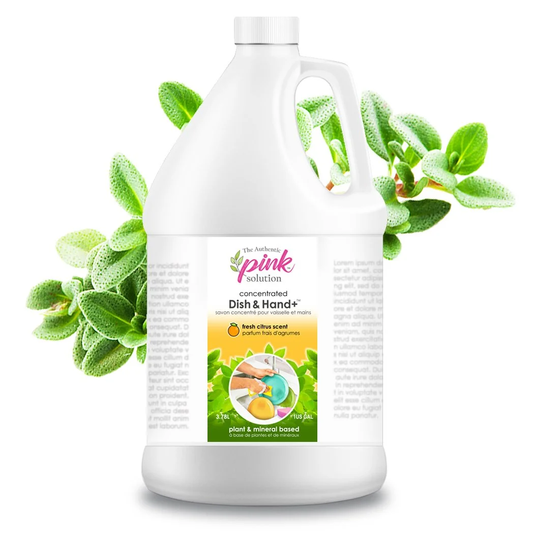 1 GAL DISH - HAND SCENTED (2).jpg