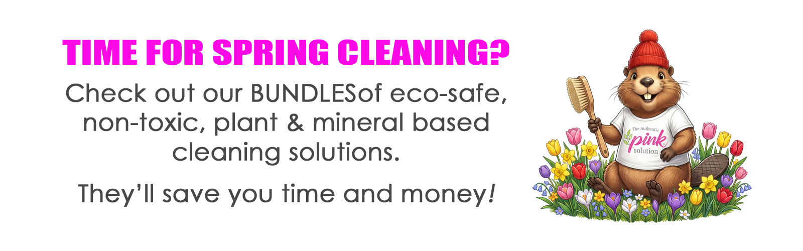 website carousel_1600 x 500_ SPRING_CLEANING_ADJUSTED.png