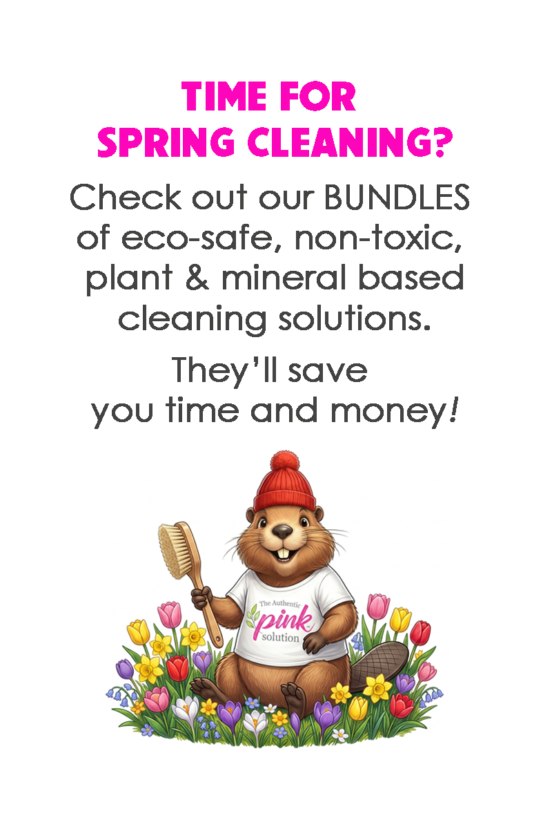 WEBSITE_CAROUSEL_HAND-HELD_SPRING_CLEANING.png