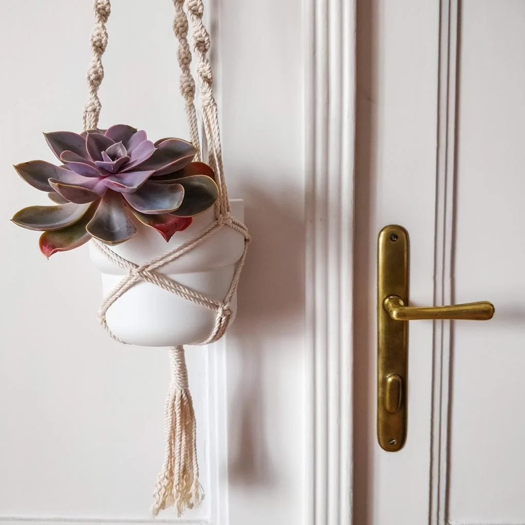 Makramé virágtartó egy kis pozsgás növénnyel