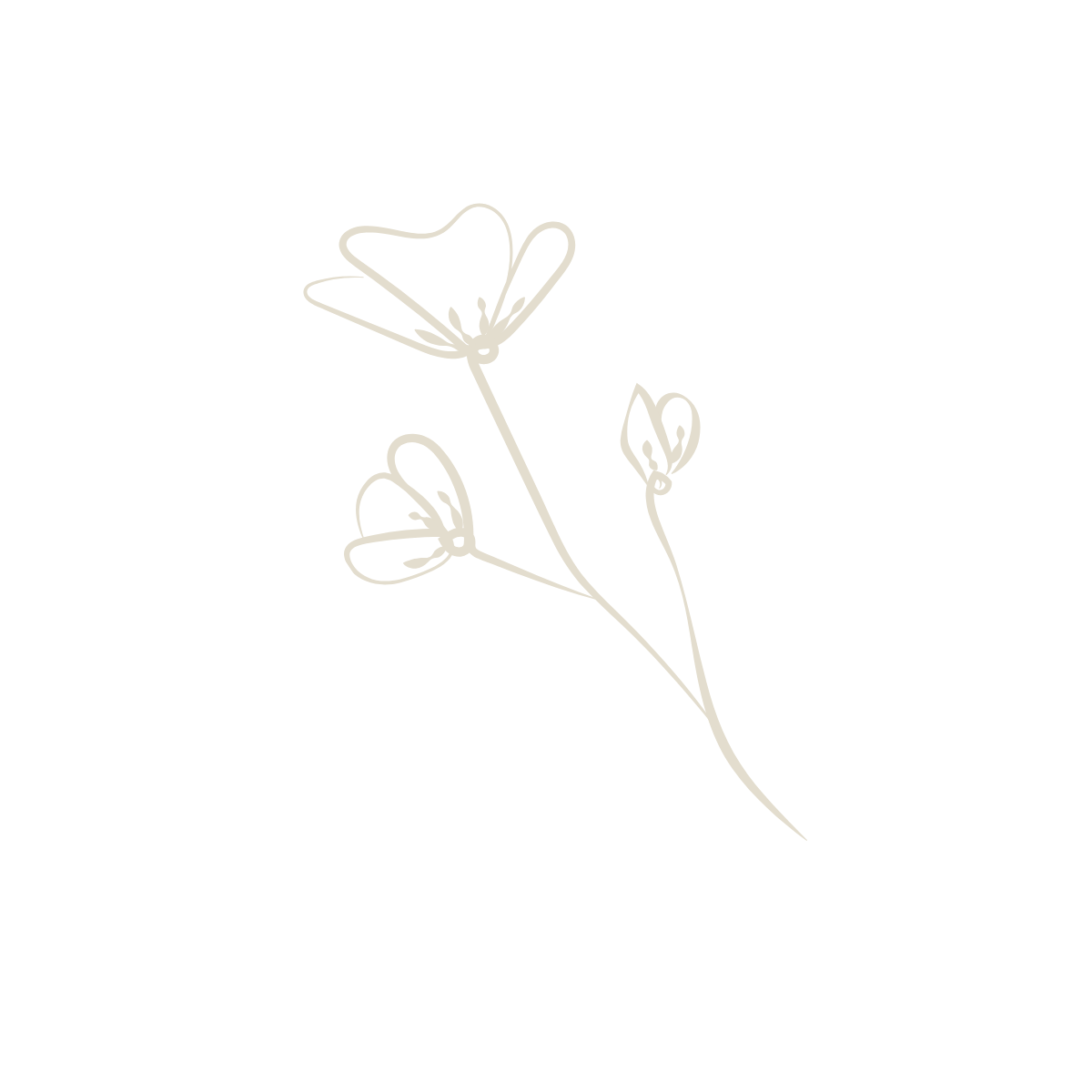 Minimalist white line drawing of a butterfly and small buds on a branch on a black background.