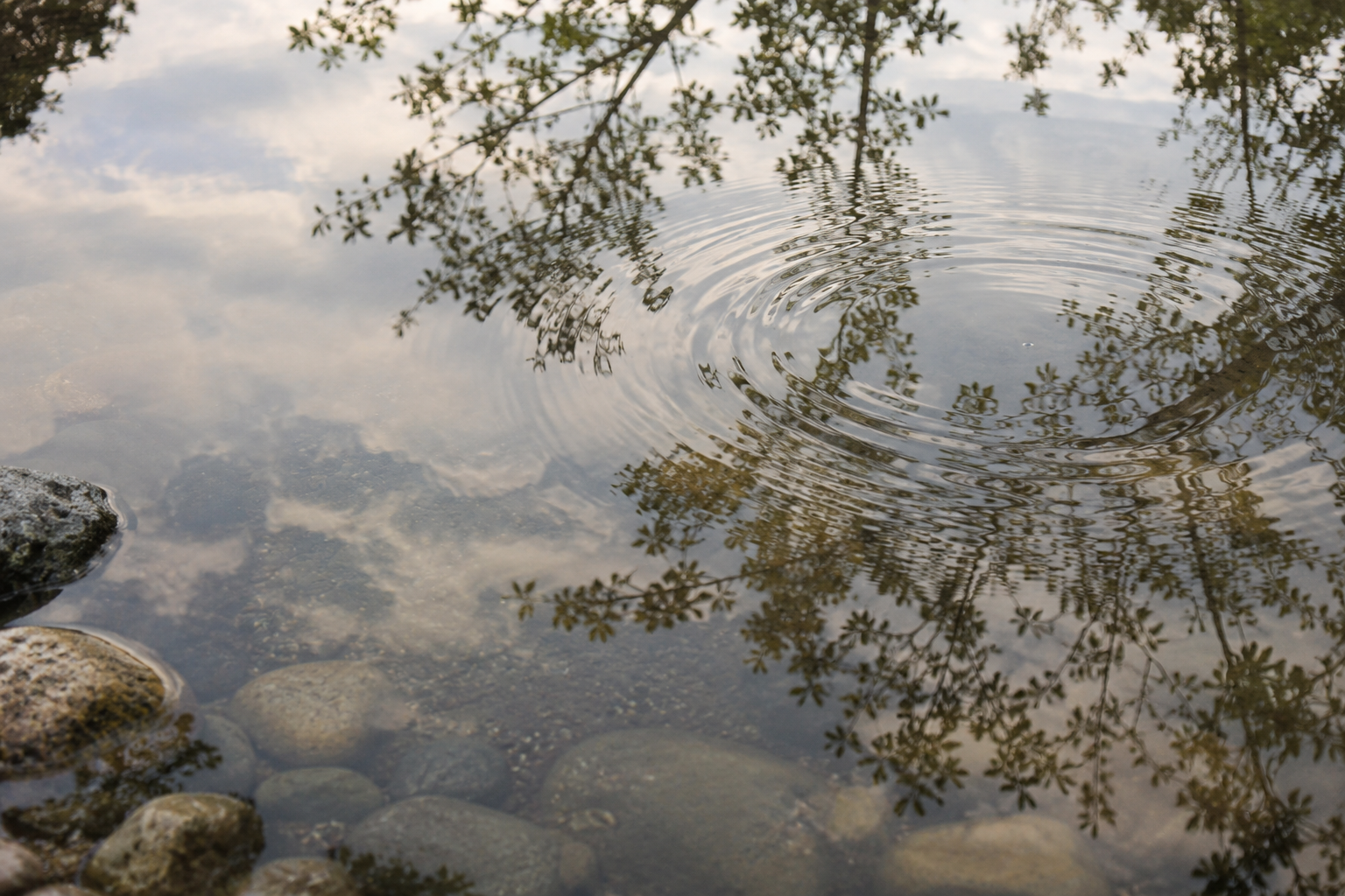 Water Drops - Concept For Grief Therapy
