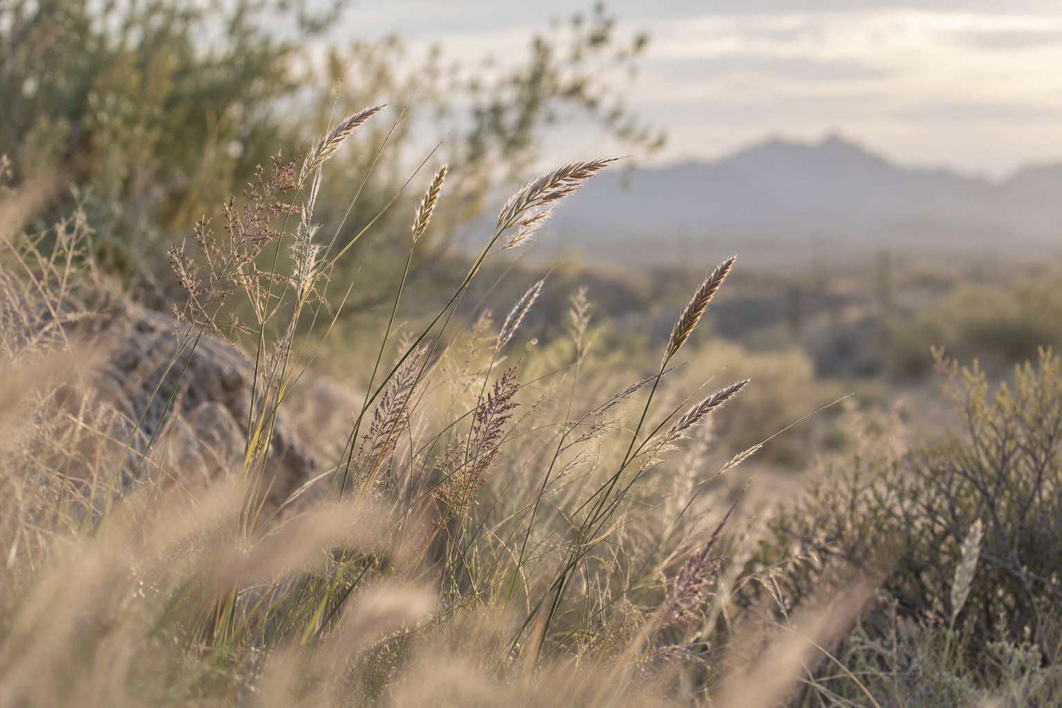 Clinical Hypnotherapy For Grief In Scottsdale AZ