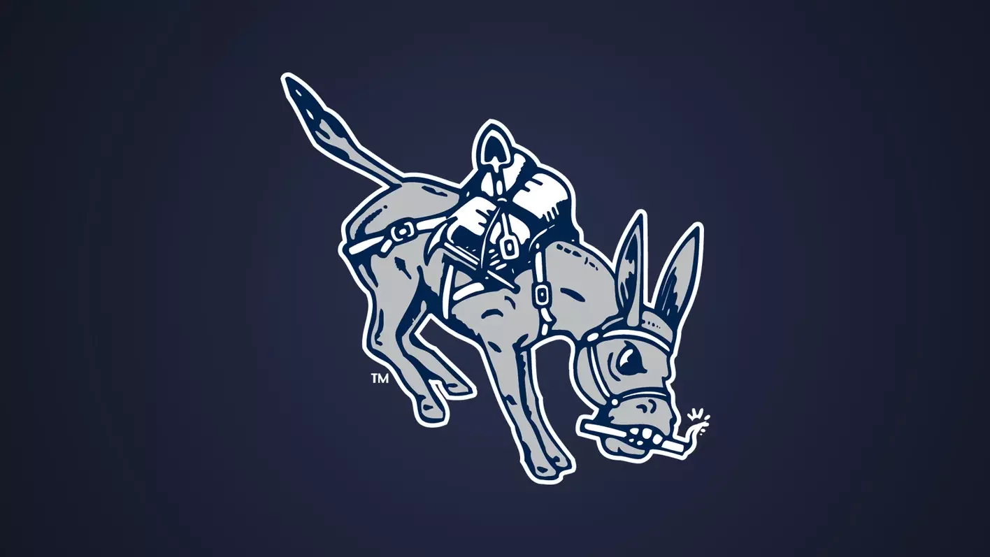 Logo of the Minnesota Vikings NFL team featuring a cartoon Viking with a horned helmet, holding a smoking cigar.