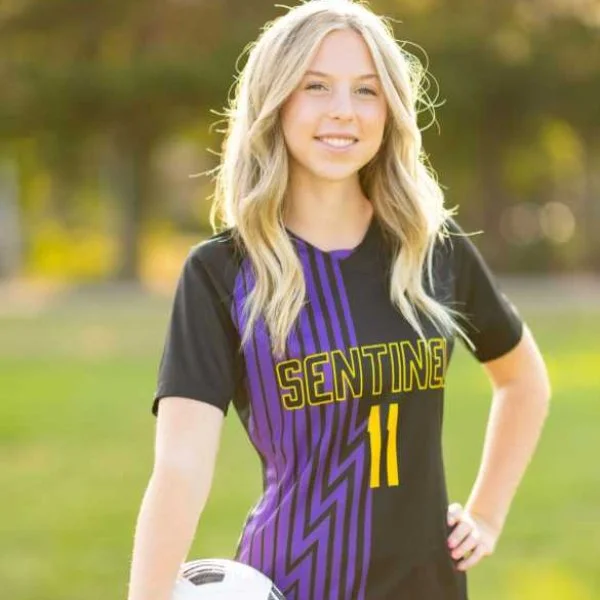 North Idaho College logo with a mountain and pine trees on a red background.