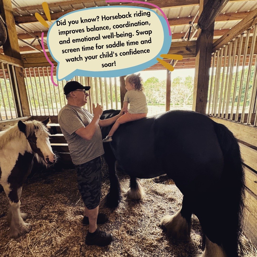 🐴 Saddle up, seekers of fun! Swipe through a day of screen-free adventures that trade pixels for ponies, hide-and-seek for hay bales, and couch cushions for camping tents! 🌾⛺️ 

First stop: horseback riding, where balance meets boundless joy. 

Nex