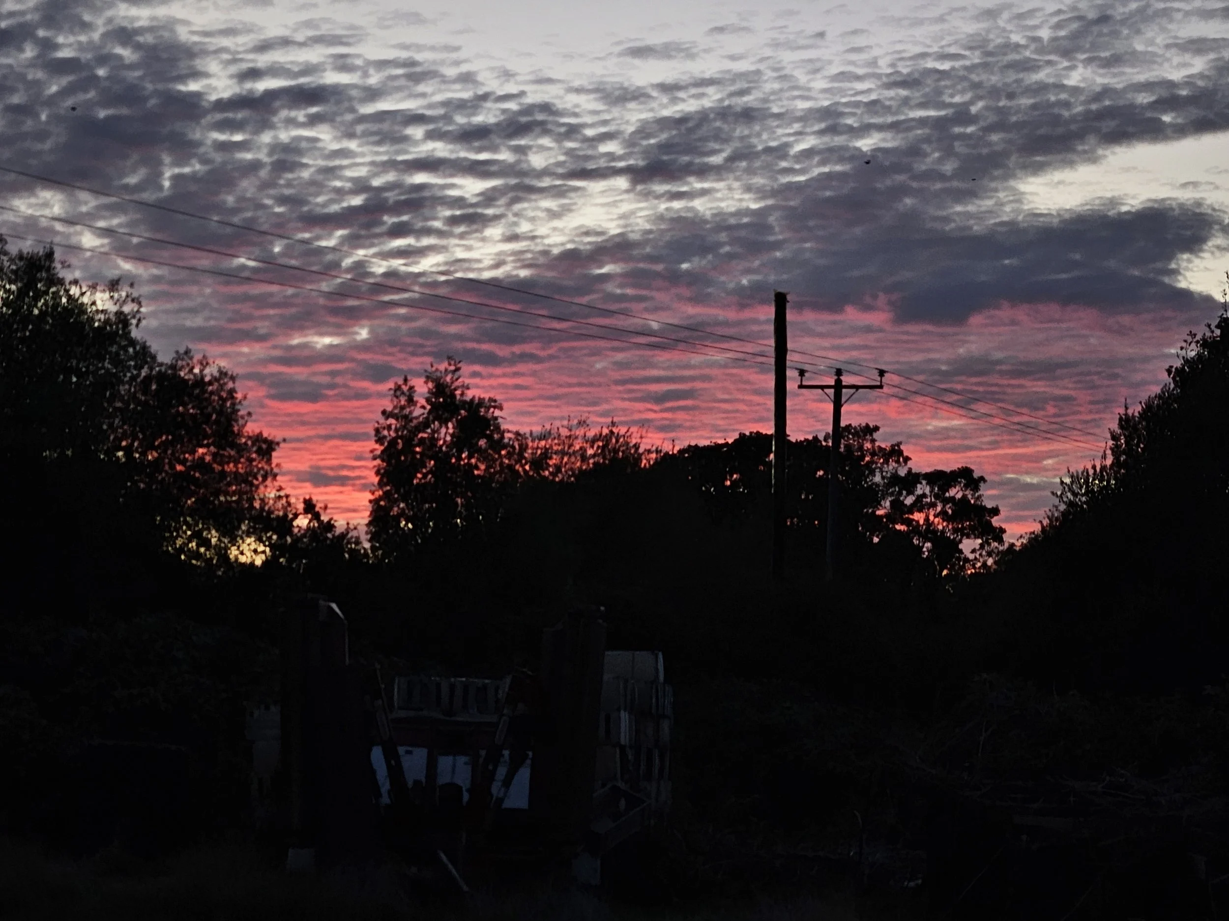 20260905_200205.jpg