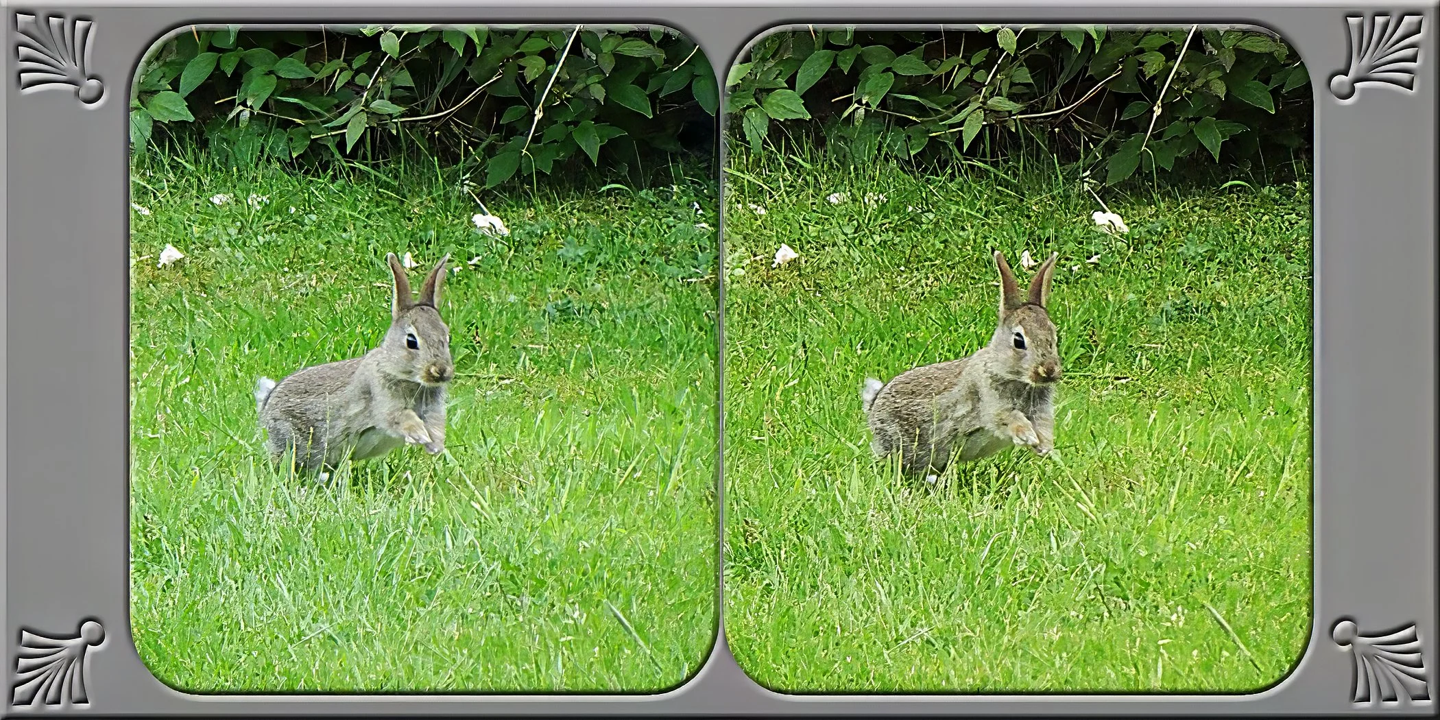 7-720mm-plus5.5.jpg