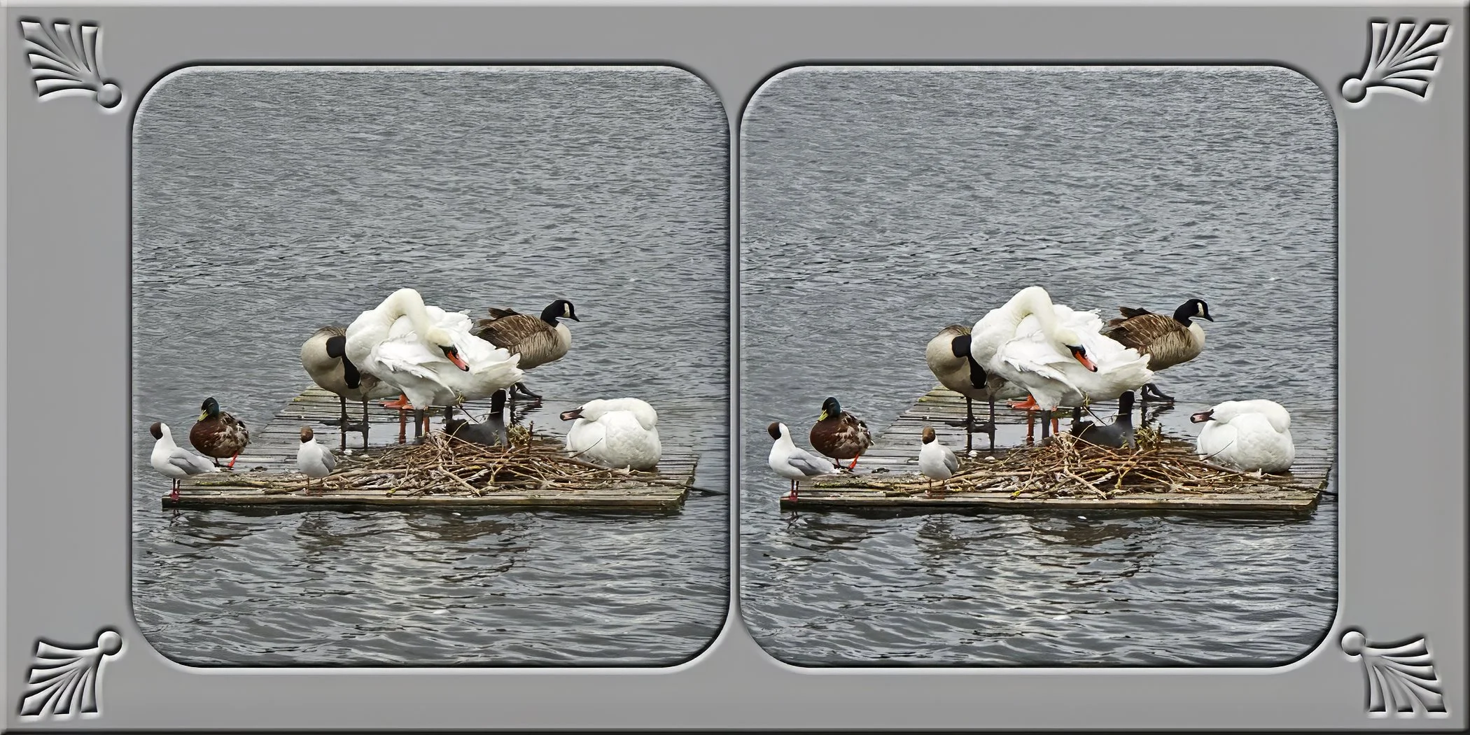 1 (4).jpg