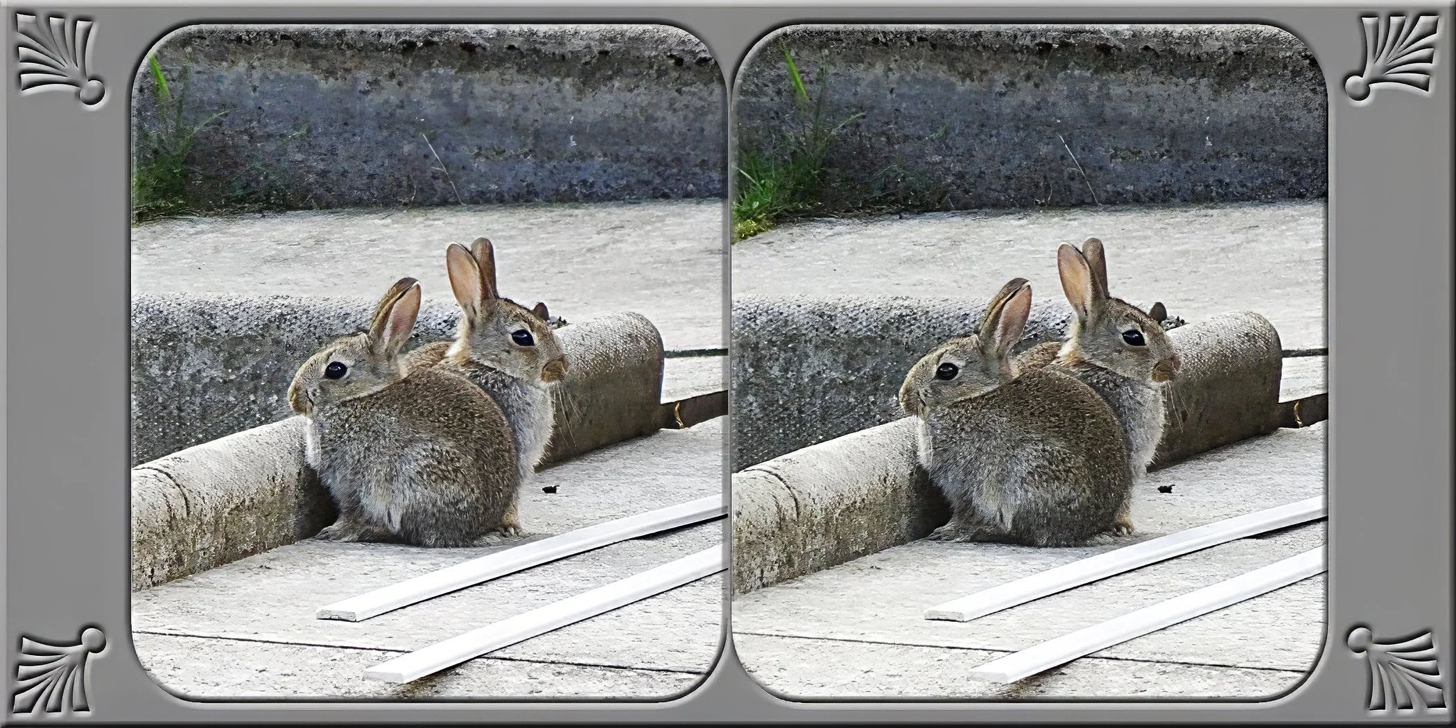 3-600mm-plus6.5.jpg