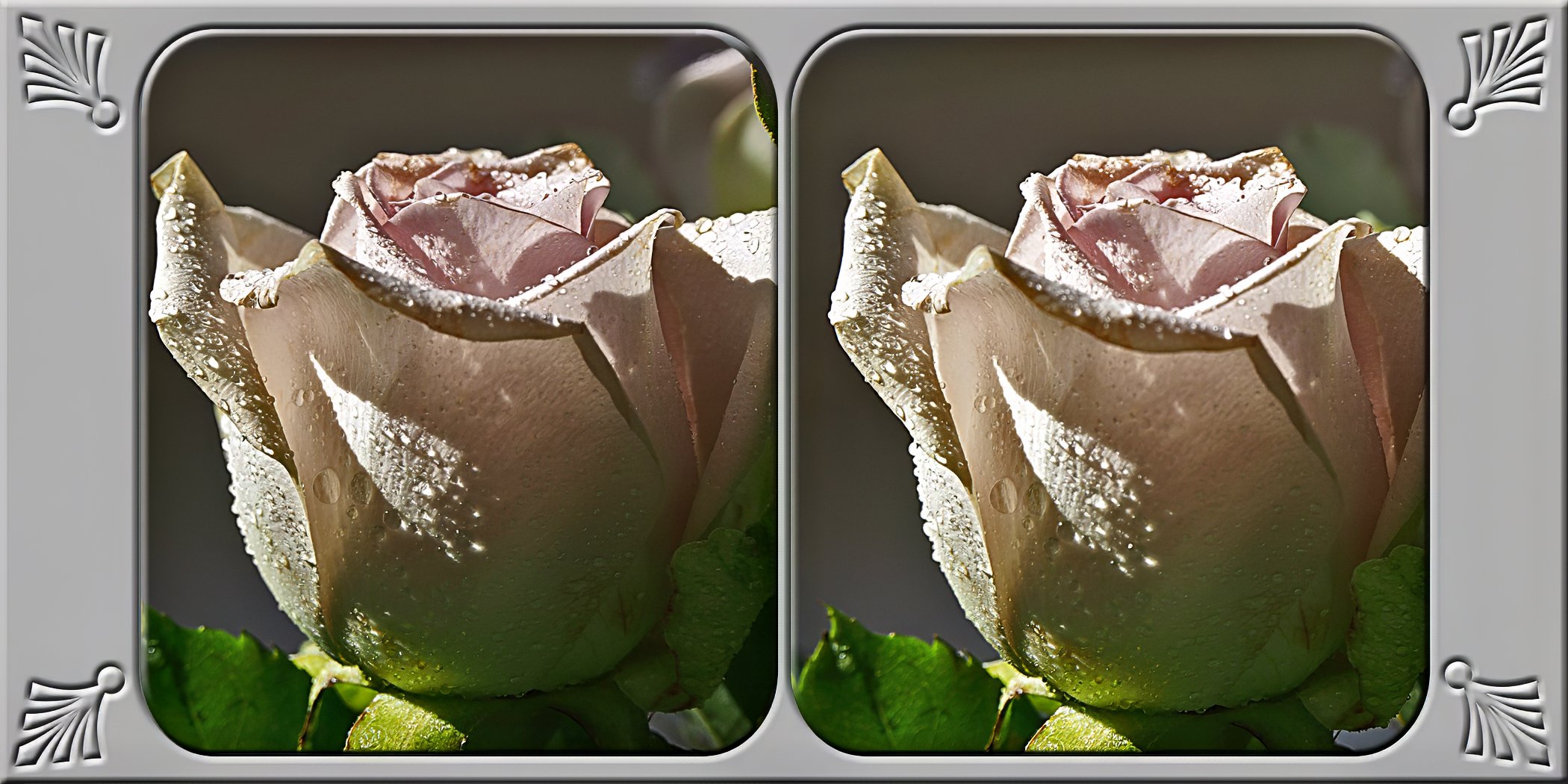 Untitled-9.jpg