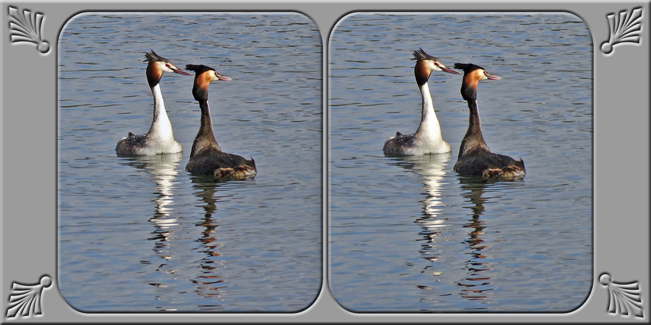 214.jpg