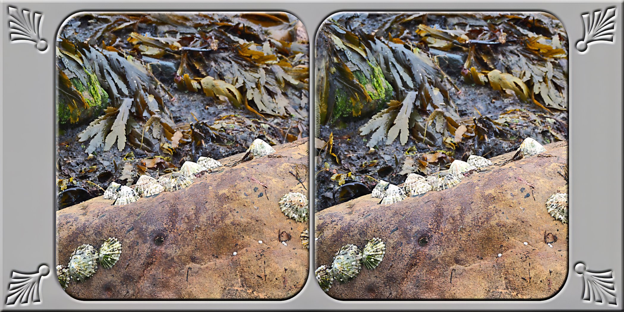 Crail-23.jpg
