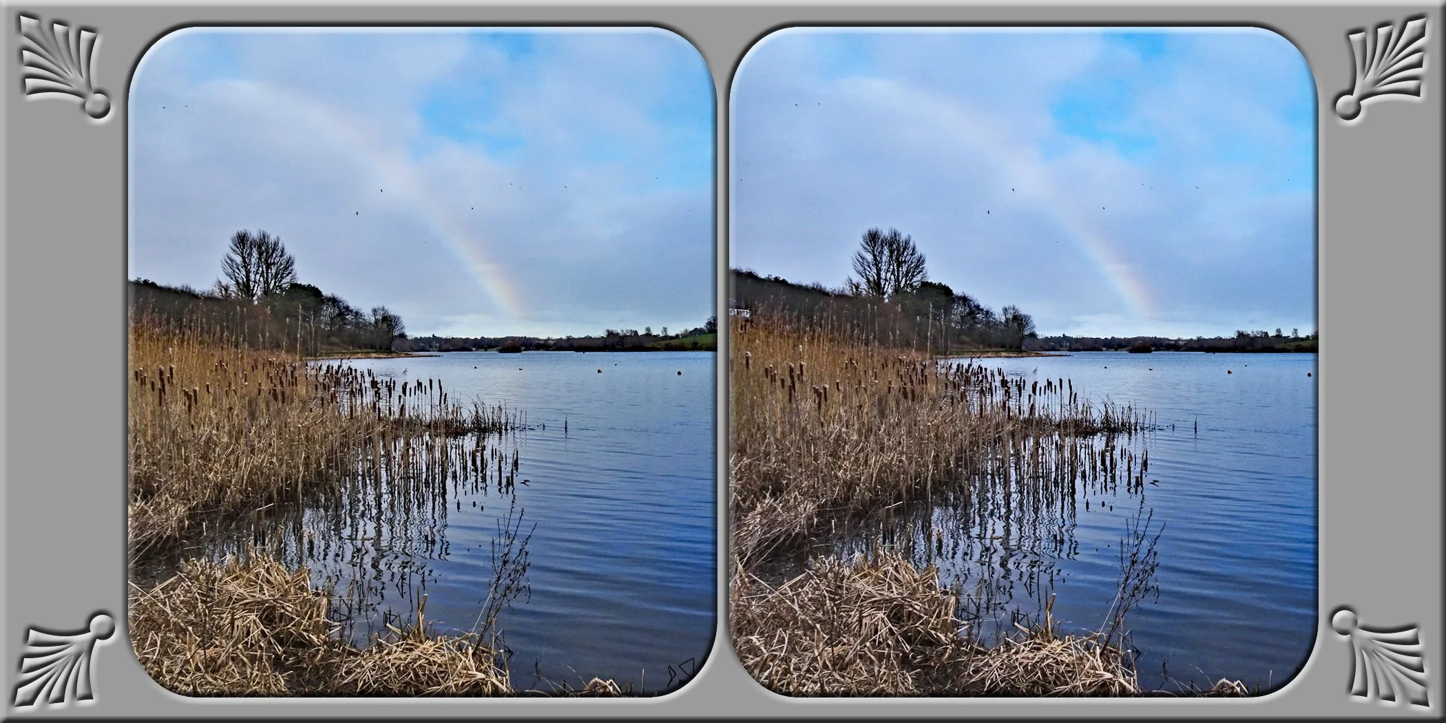 2 (10).jpg