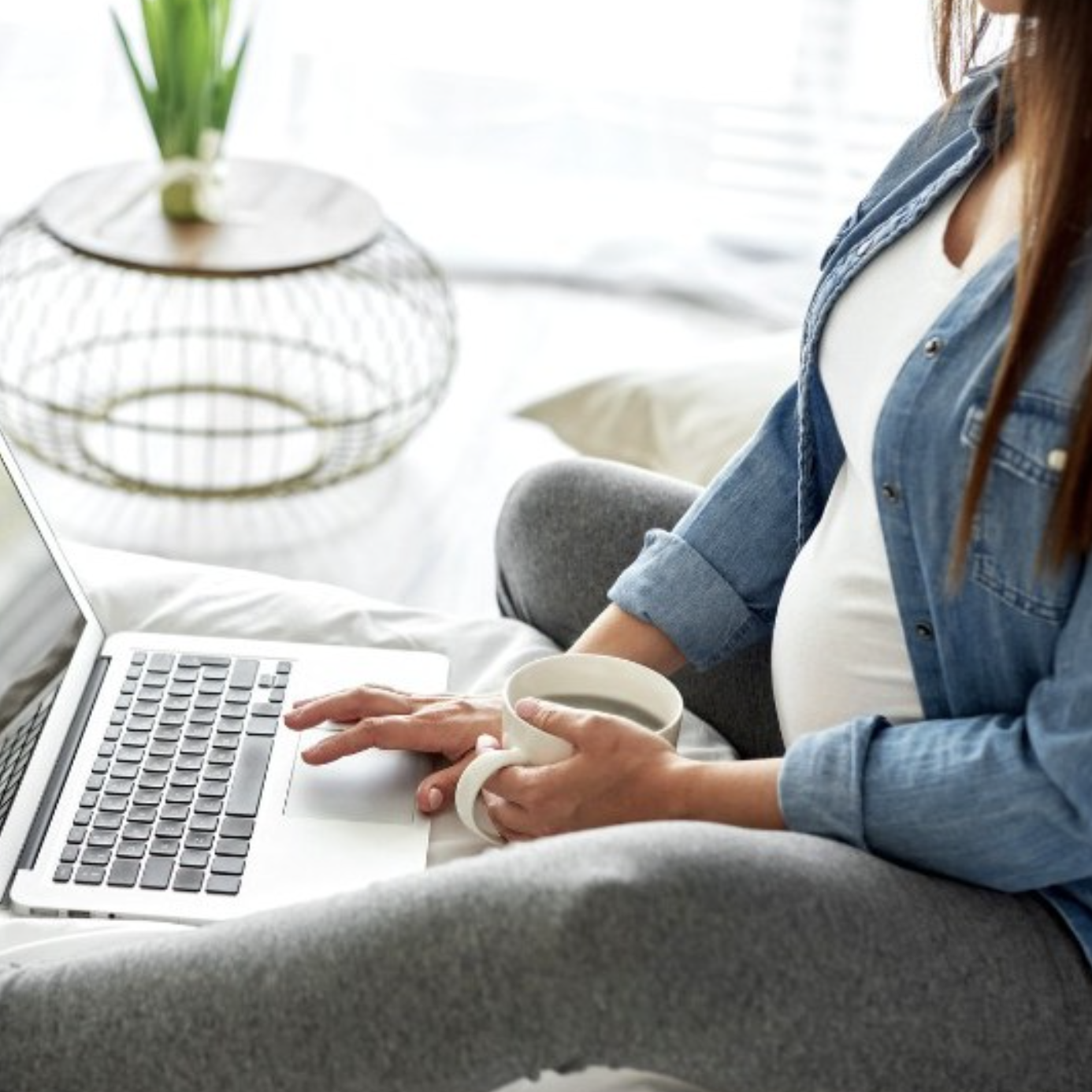 Carrot Fertility Doula Benefits