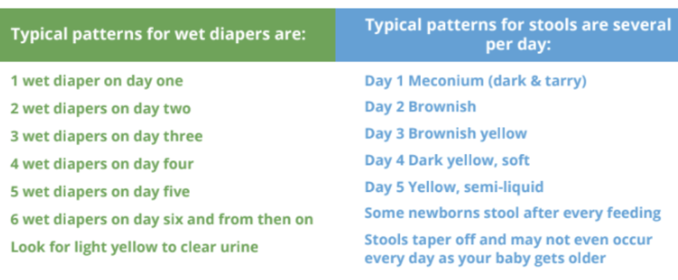 how many wet diapers should baby have?