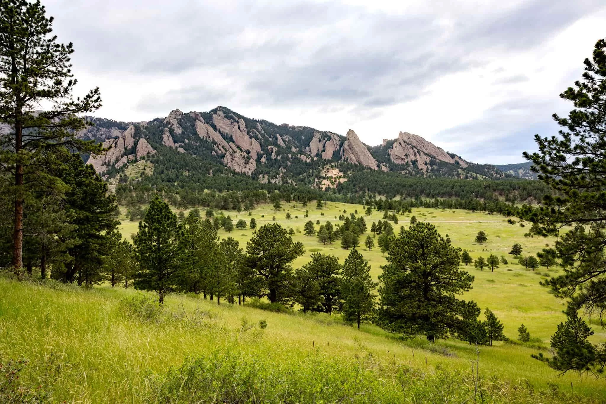 Wedding photography at the Flatirons and Chautauqua Park in Boulder, Colorado with iconic mountain views and natural landscapes.