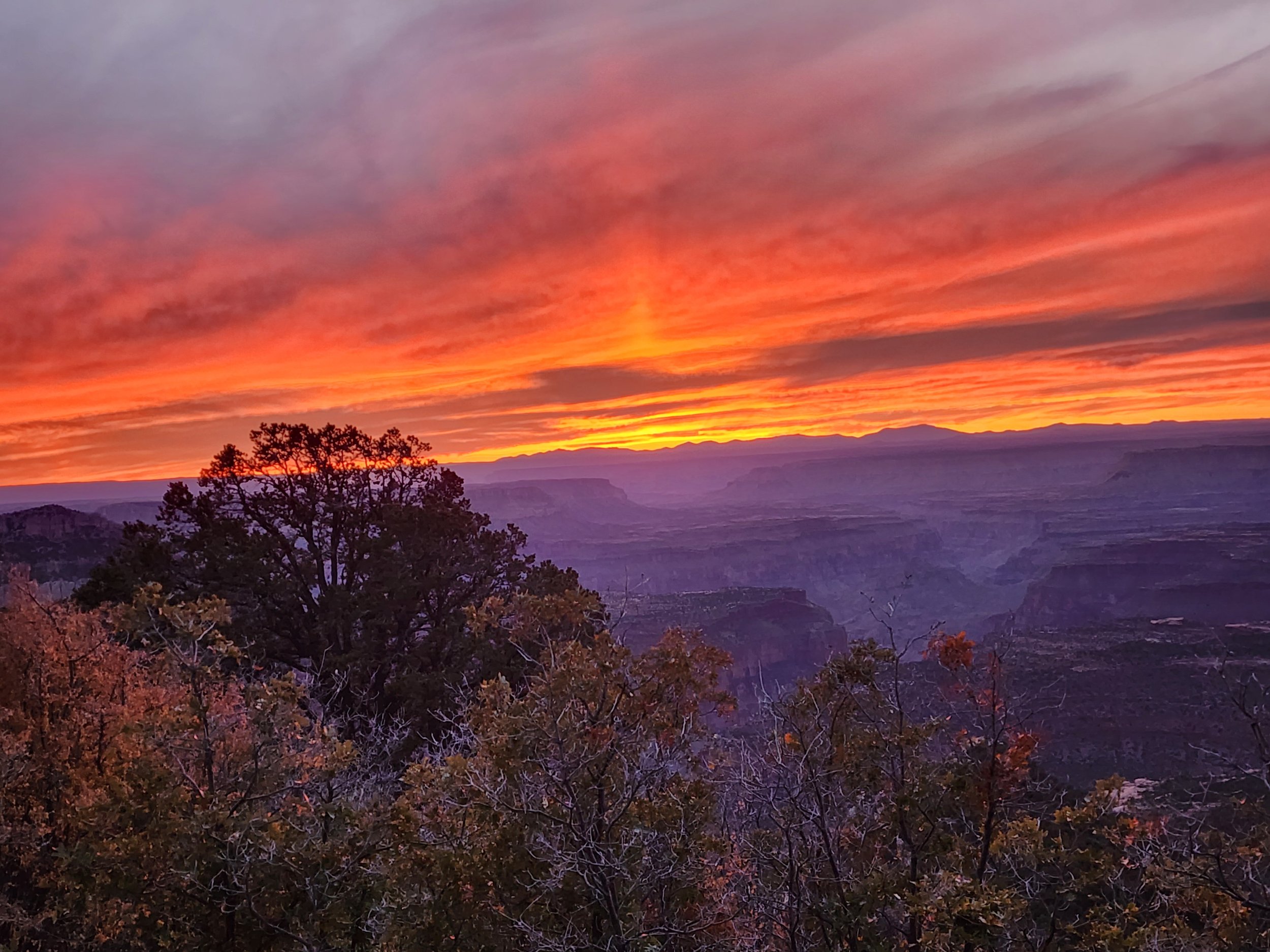 The Day I met her: A Canyon Love Story