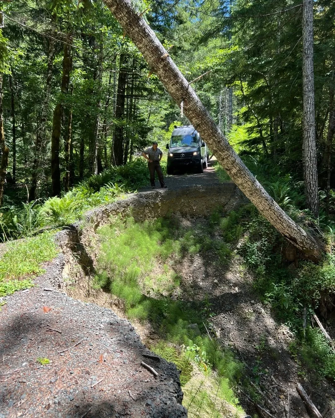 There comes a time when Mother Nature wins. This here was one of those times.