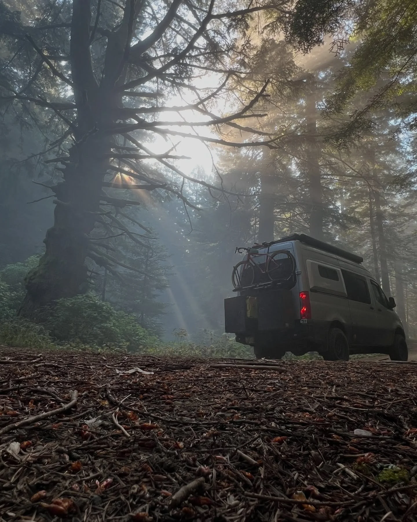 Have I told you today how much I love my van?
.
.
.
@agileoffroad 
#smarterthandirt
@cactustocanyonsvan 
#adventureelevated
#vanlife
#overland 
#overlandlife
#californiacoast 
#sprintervan 
#outdoors