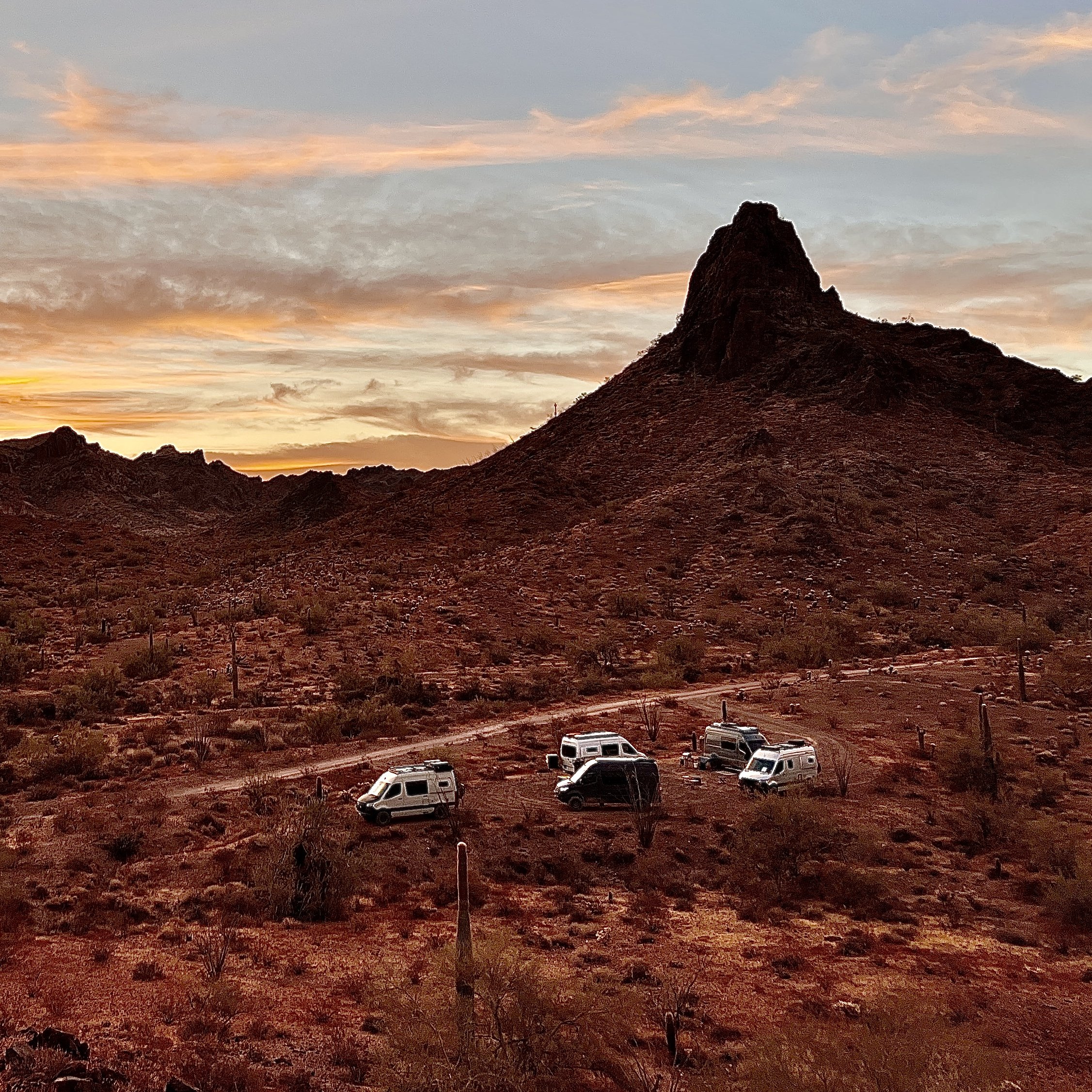 Van Adventure - 2027 KOFA National Wildlife: February 18-21