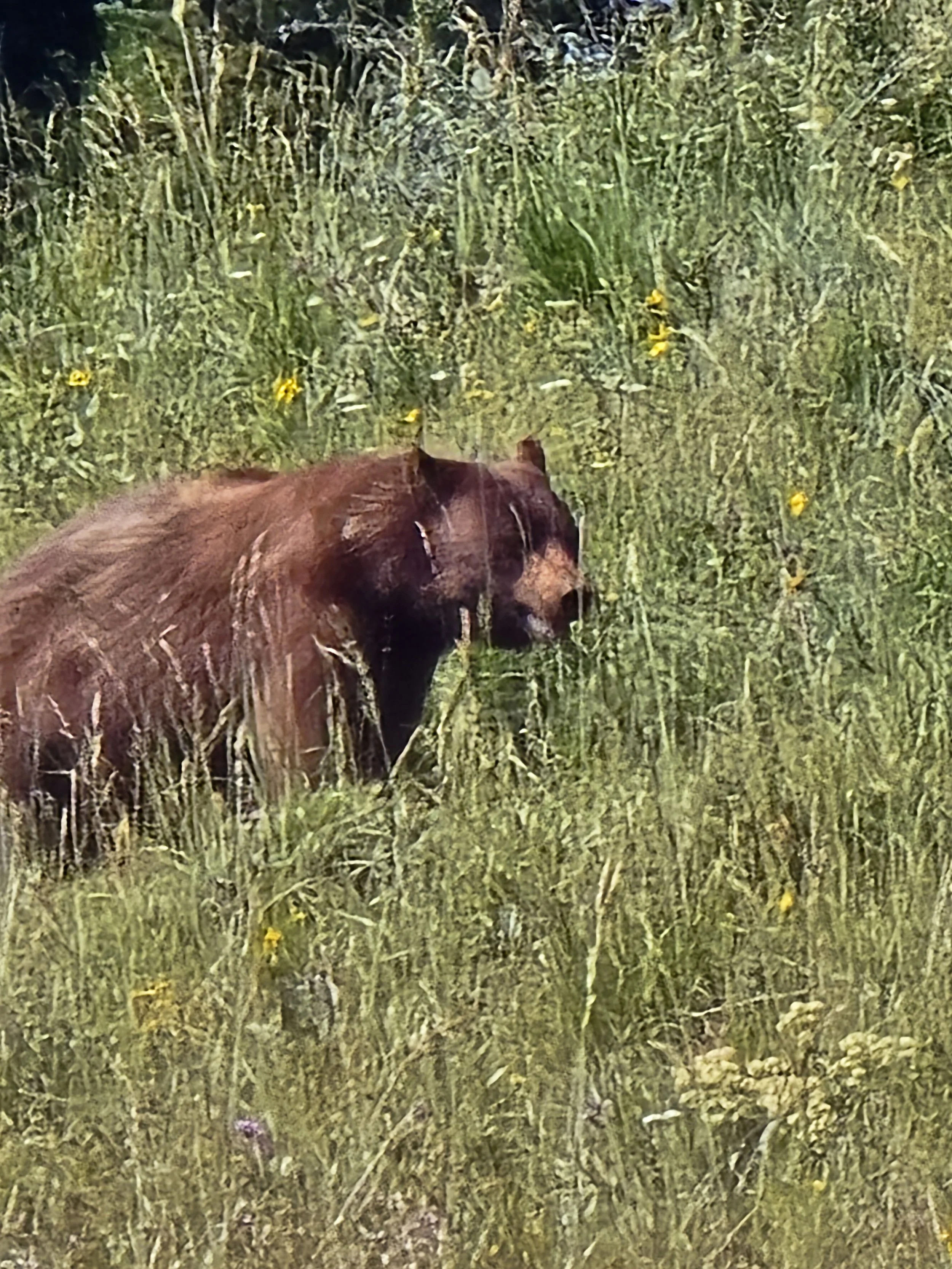 20260803_101524.jpg