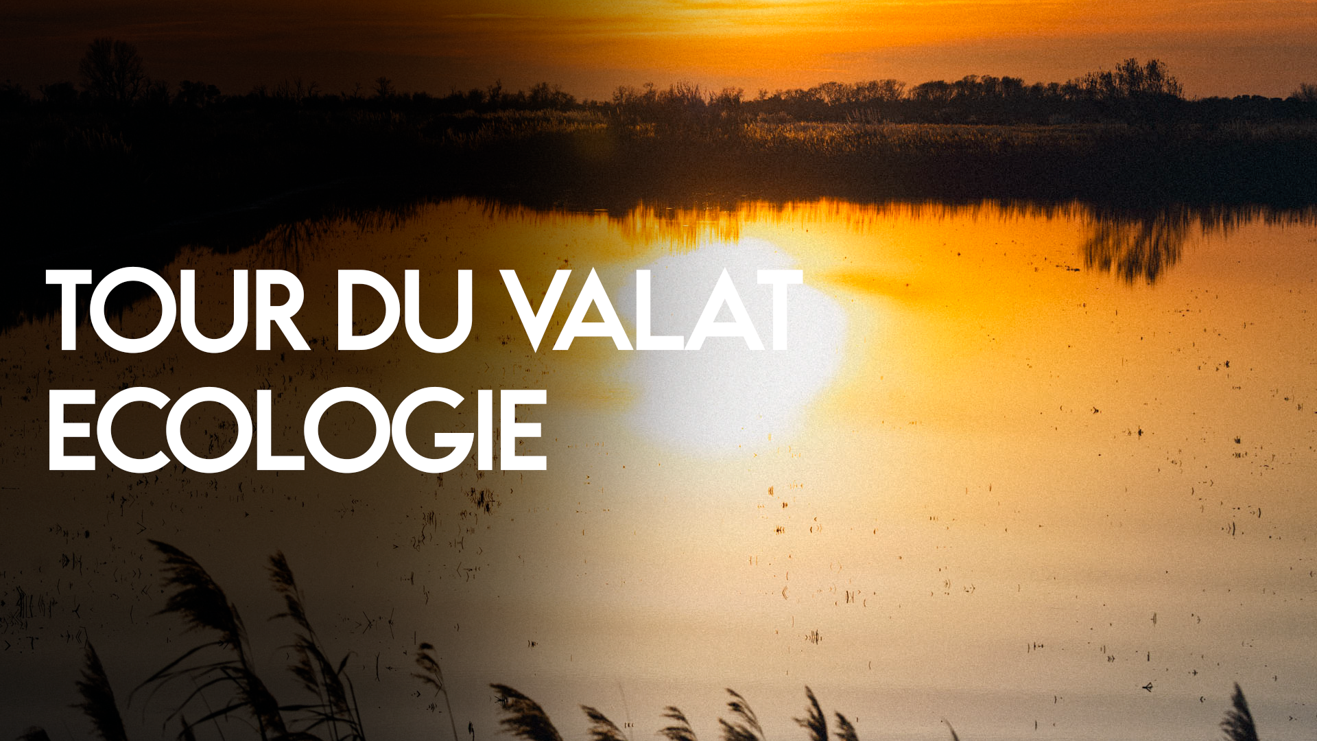 THUMBS_valat.png