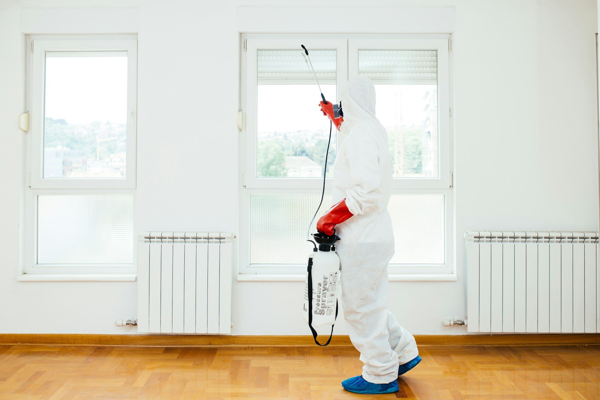 How to Choose the Best Pest Control Company in Austin