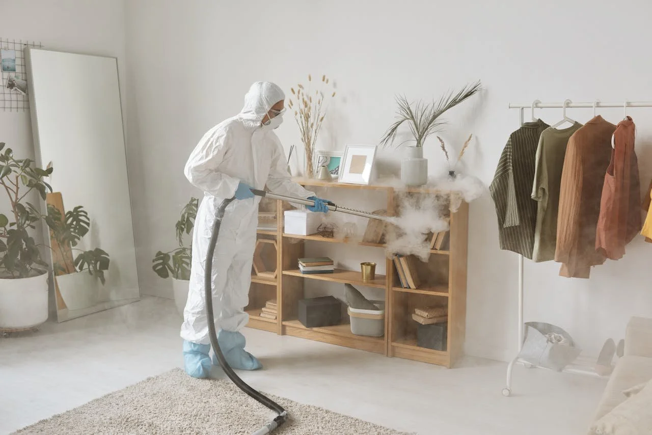 Preventing Termite Damage: What Homeowners Need to Know