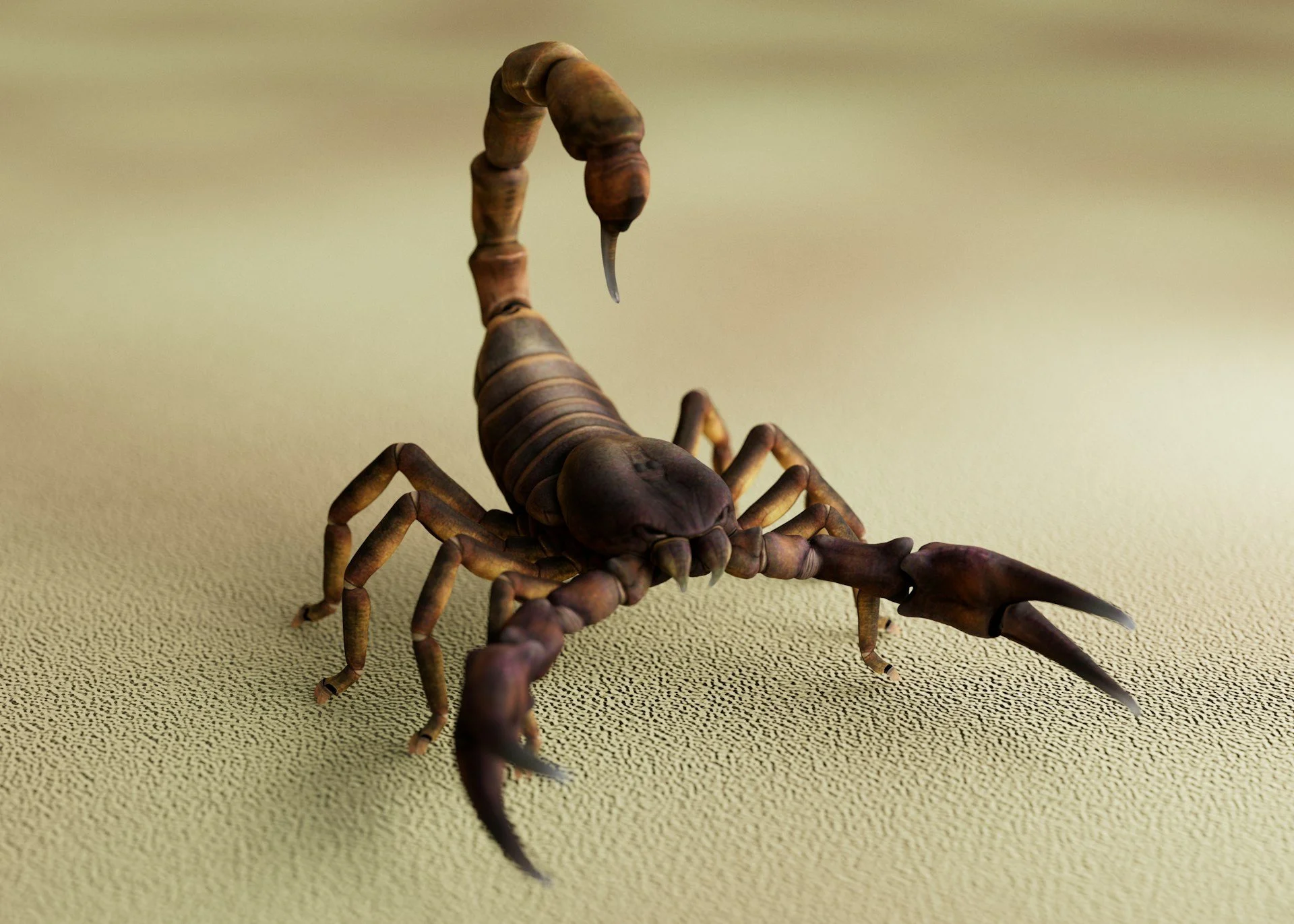 How to Protect Your Home from Scorpions in Texas