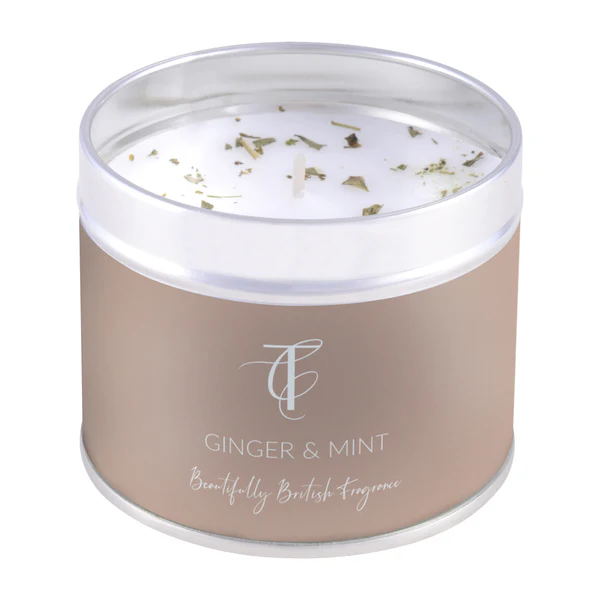 Ginger and Mint Tin Candle