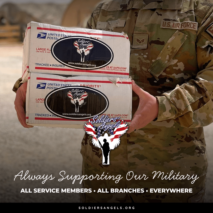 Branded veterans outreach graphic