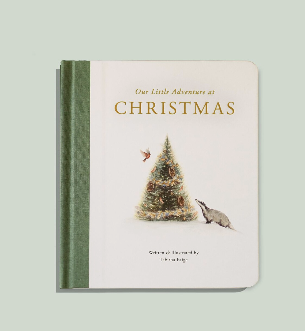 Our Little Adventure at Christmas Book