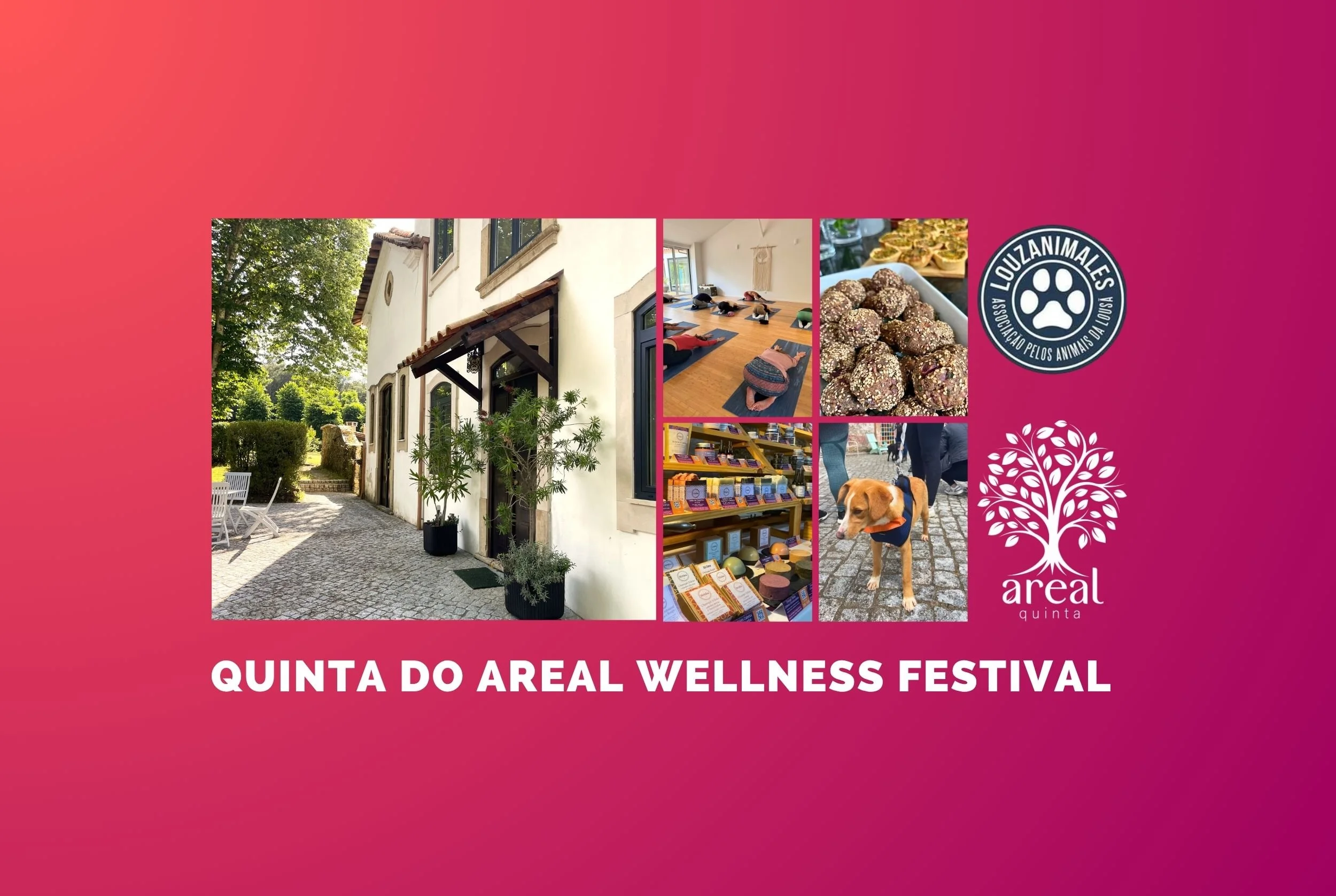 Wellness Festival 2026 edition