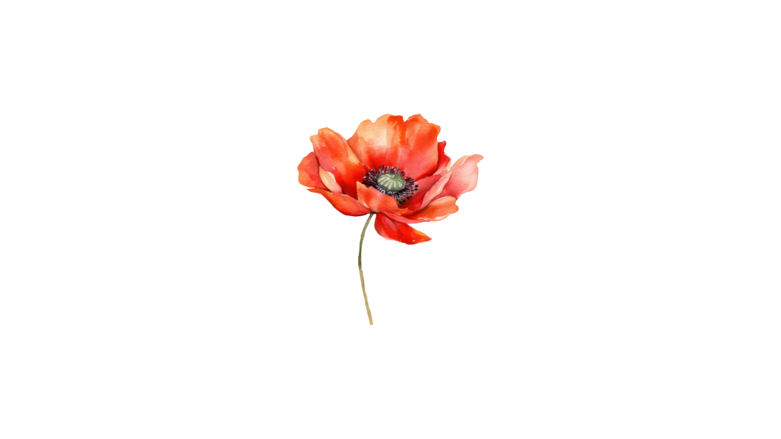 Flower Only.png