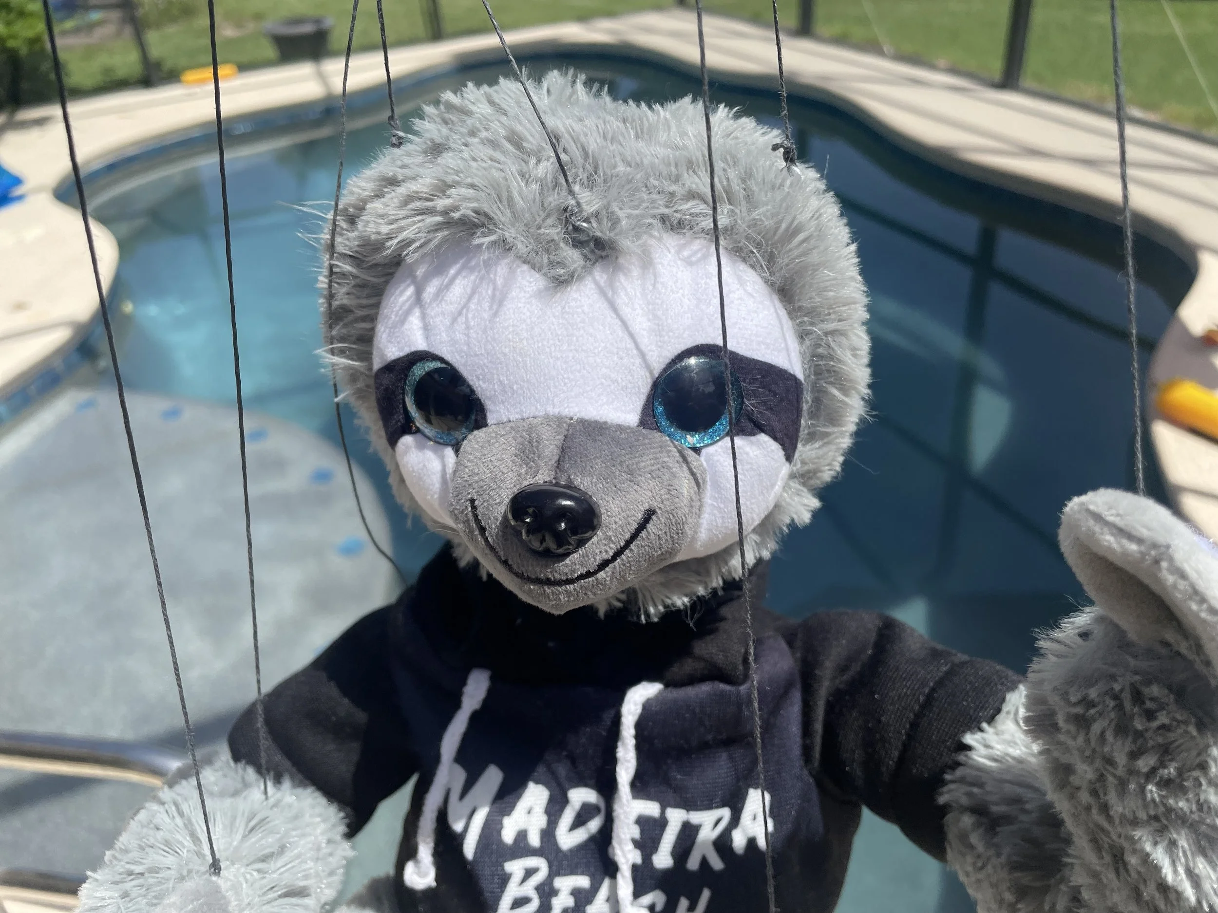 Florida Sloth