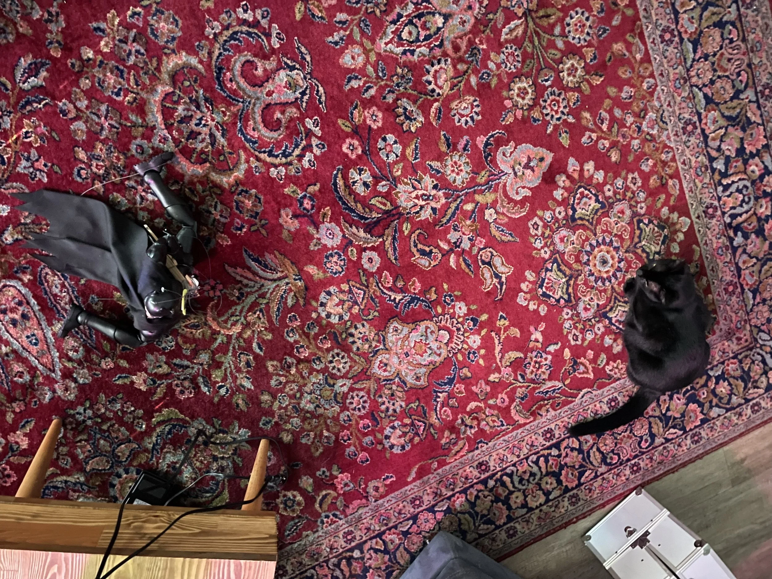 IMG_0437.jpeg